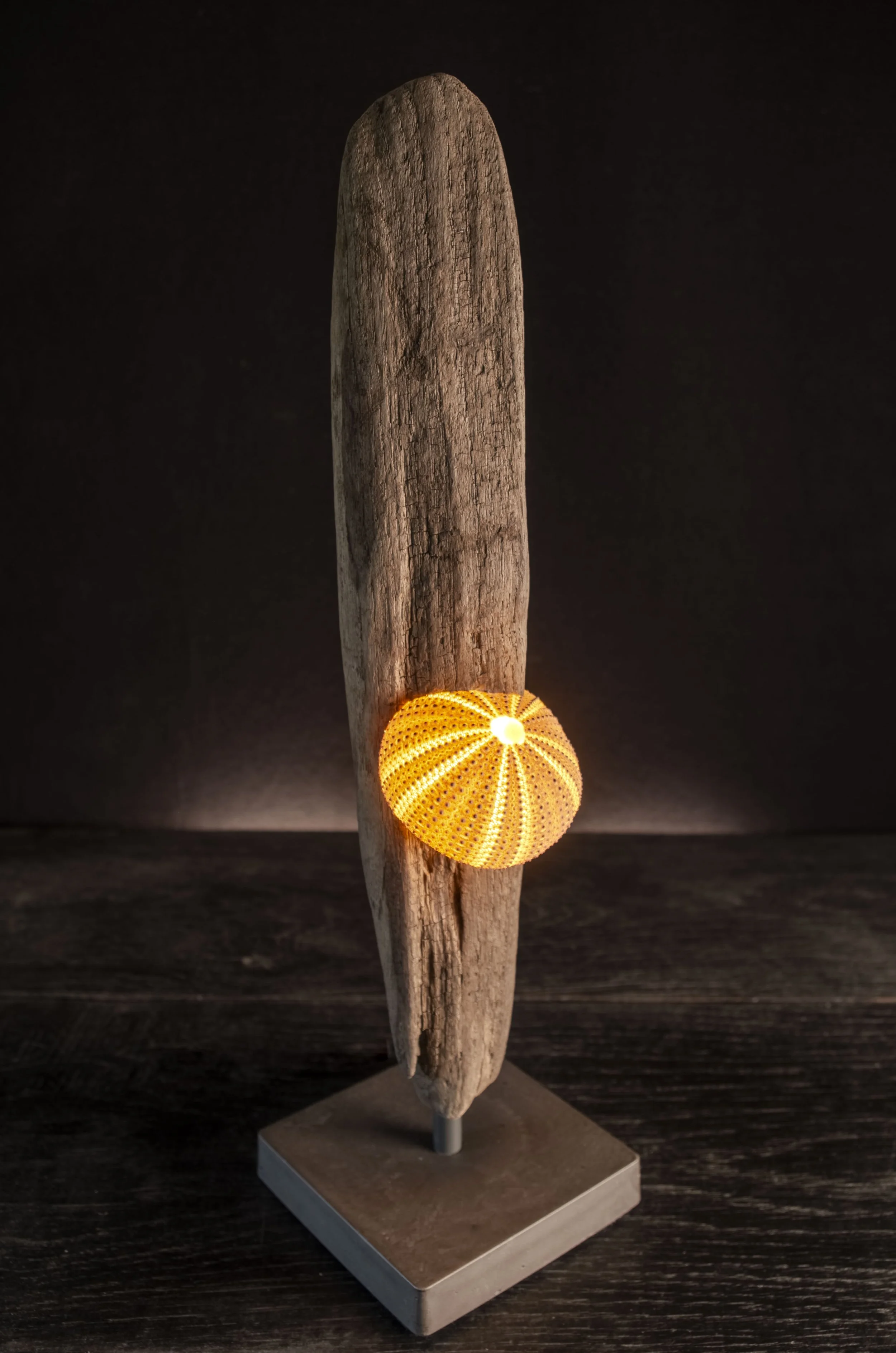 Nr.377 • 180€