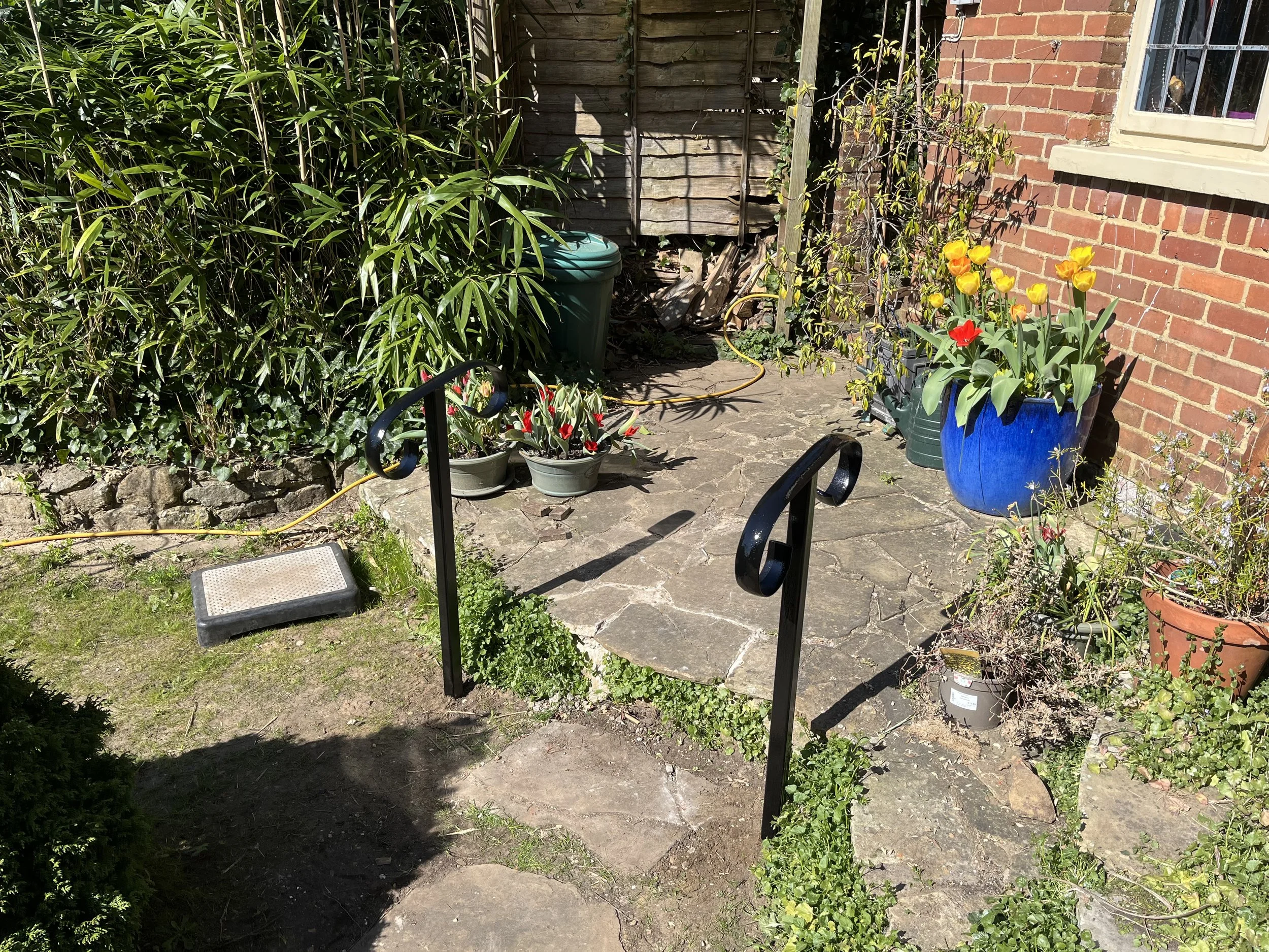 IMG_5942.jpeg