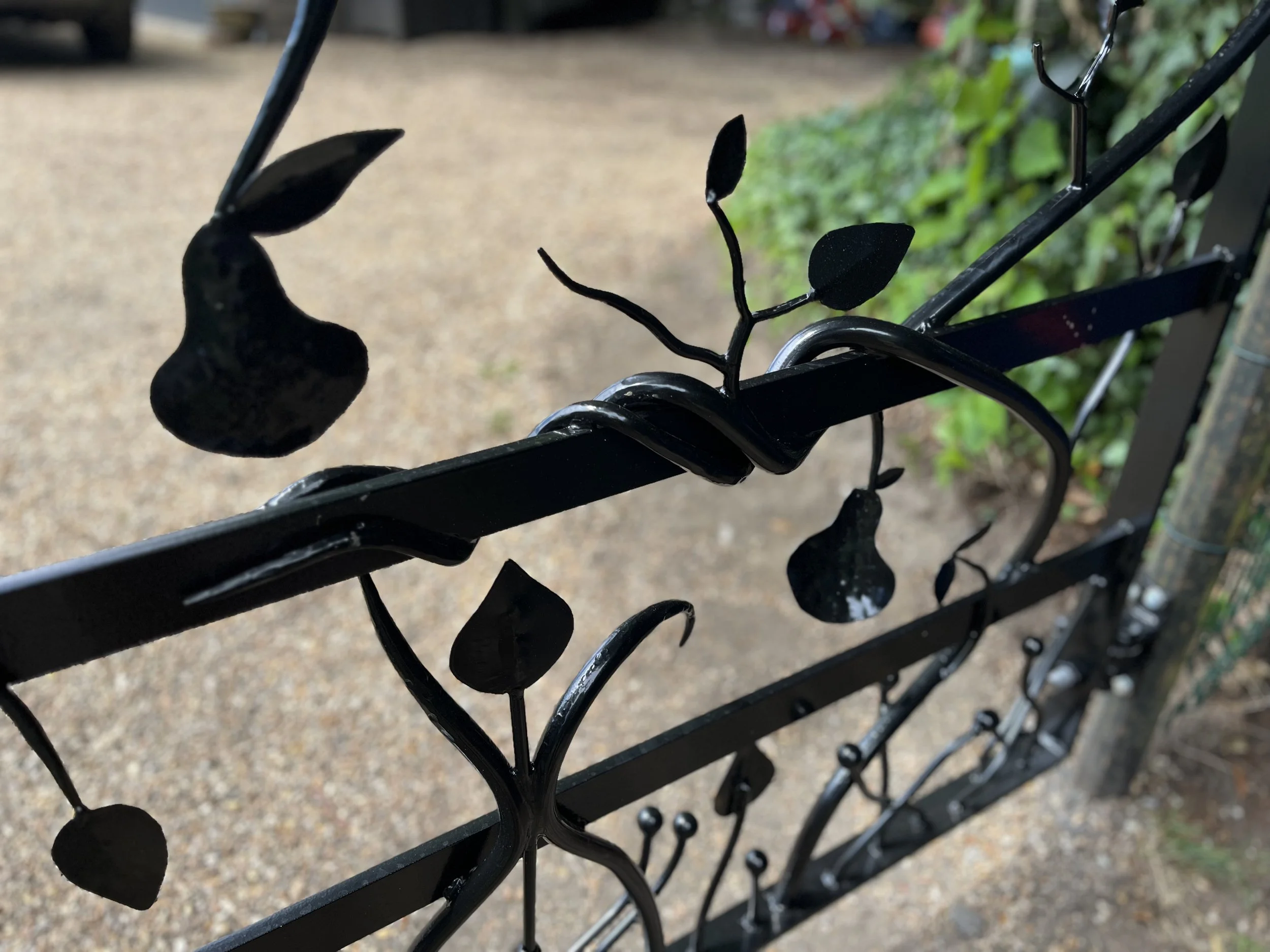 IMG_9171.jpeg