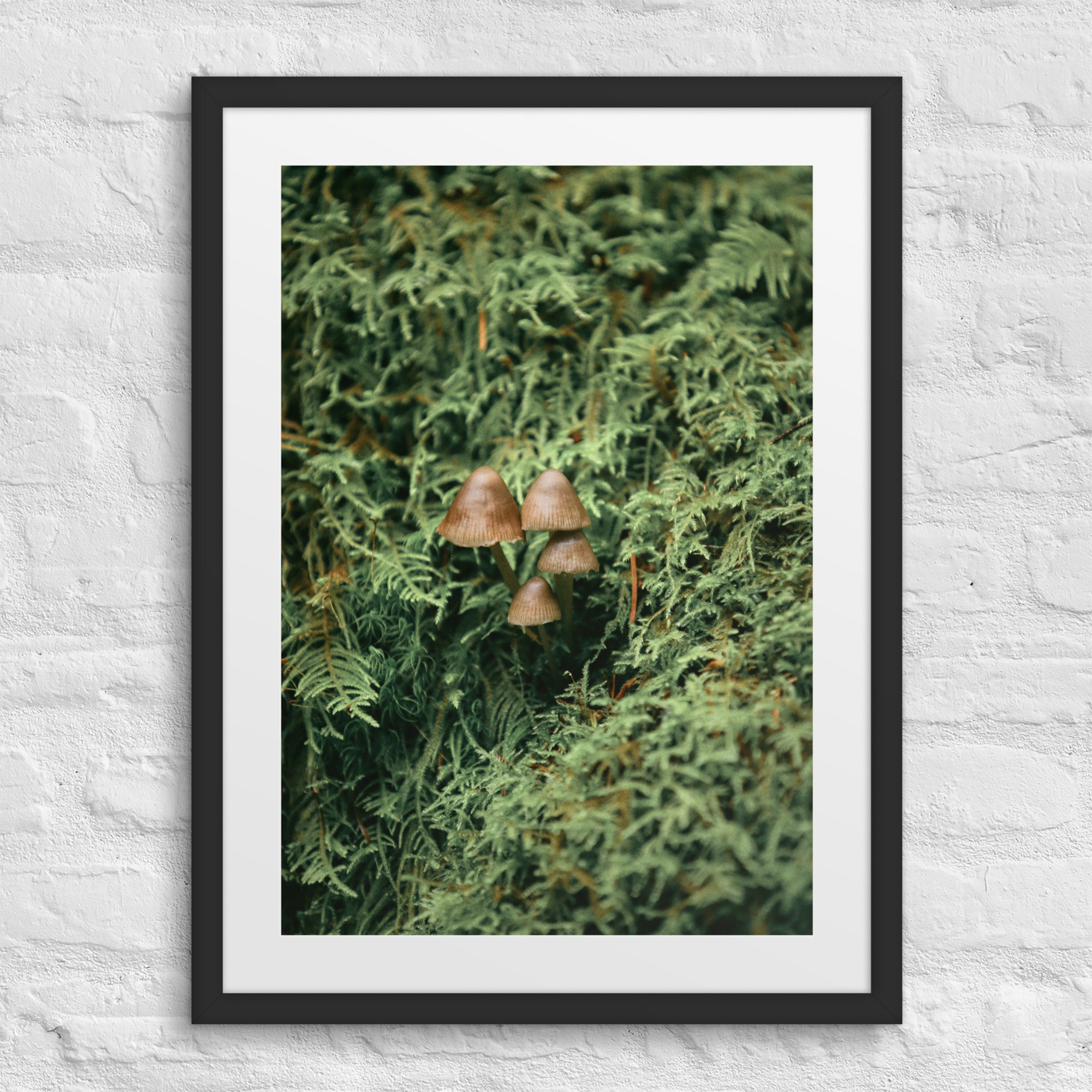 matte-paper-framed-poster-with-mat-(in)-black-18x24-front-672a19fde552f.jpg