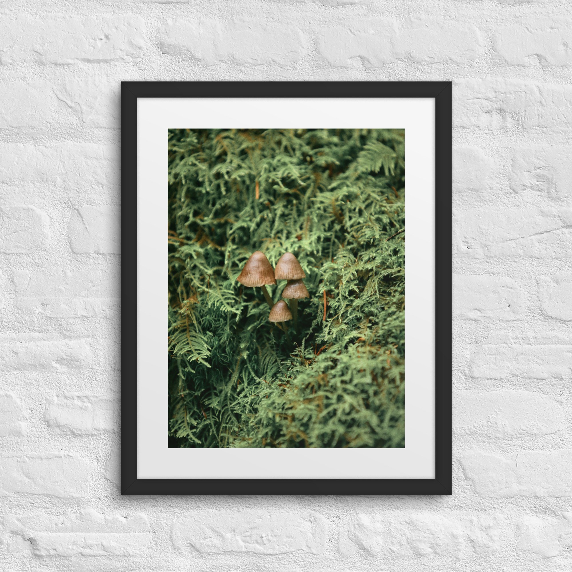 matte-paper-framed-poster-with-mat-(in)-black-16x20-front-672a19fde70ff.jpg