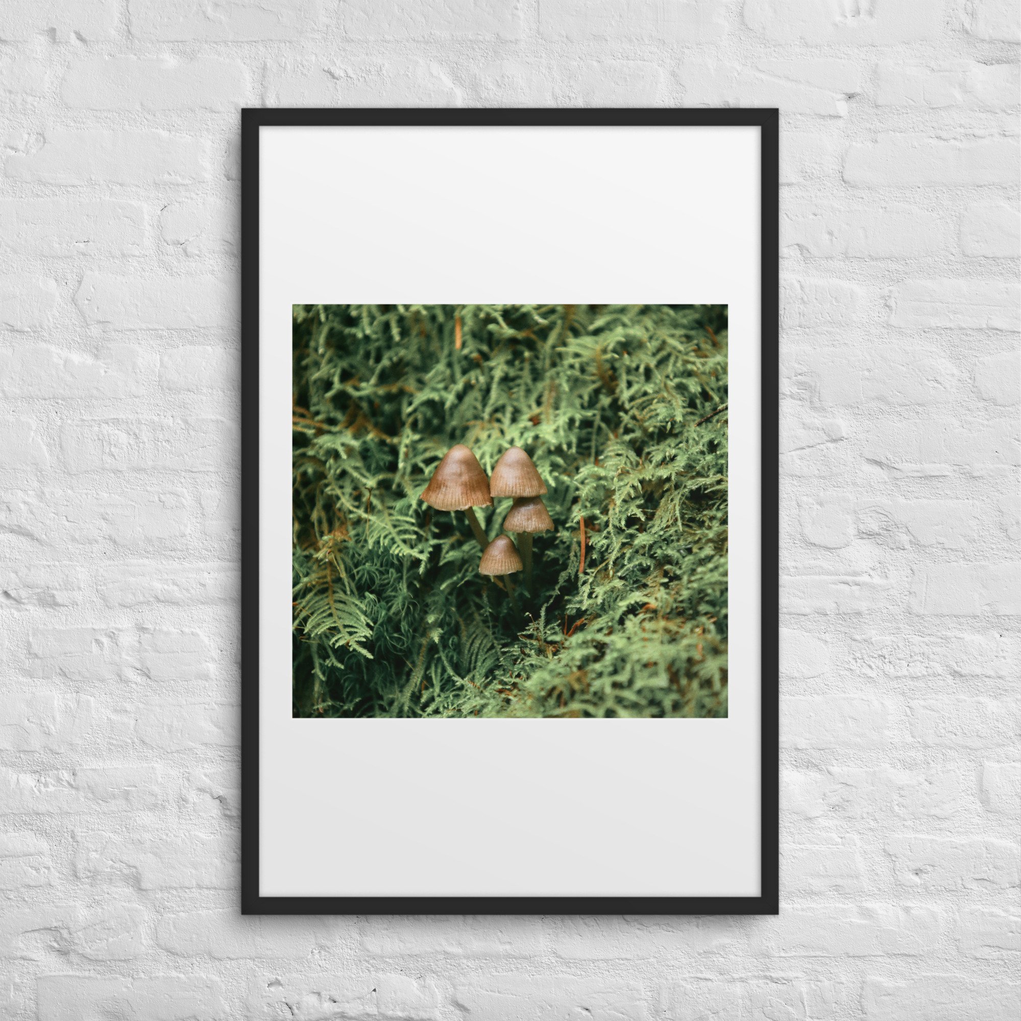 matte-paper-framed-poster-with-mat-(in)-black-24x36-front-672a19fde719f.jpg