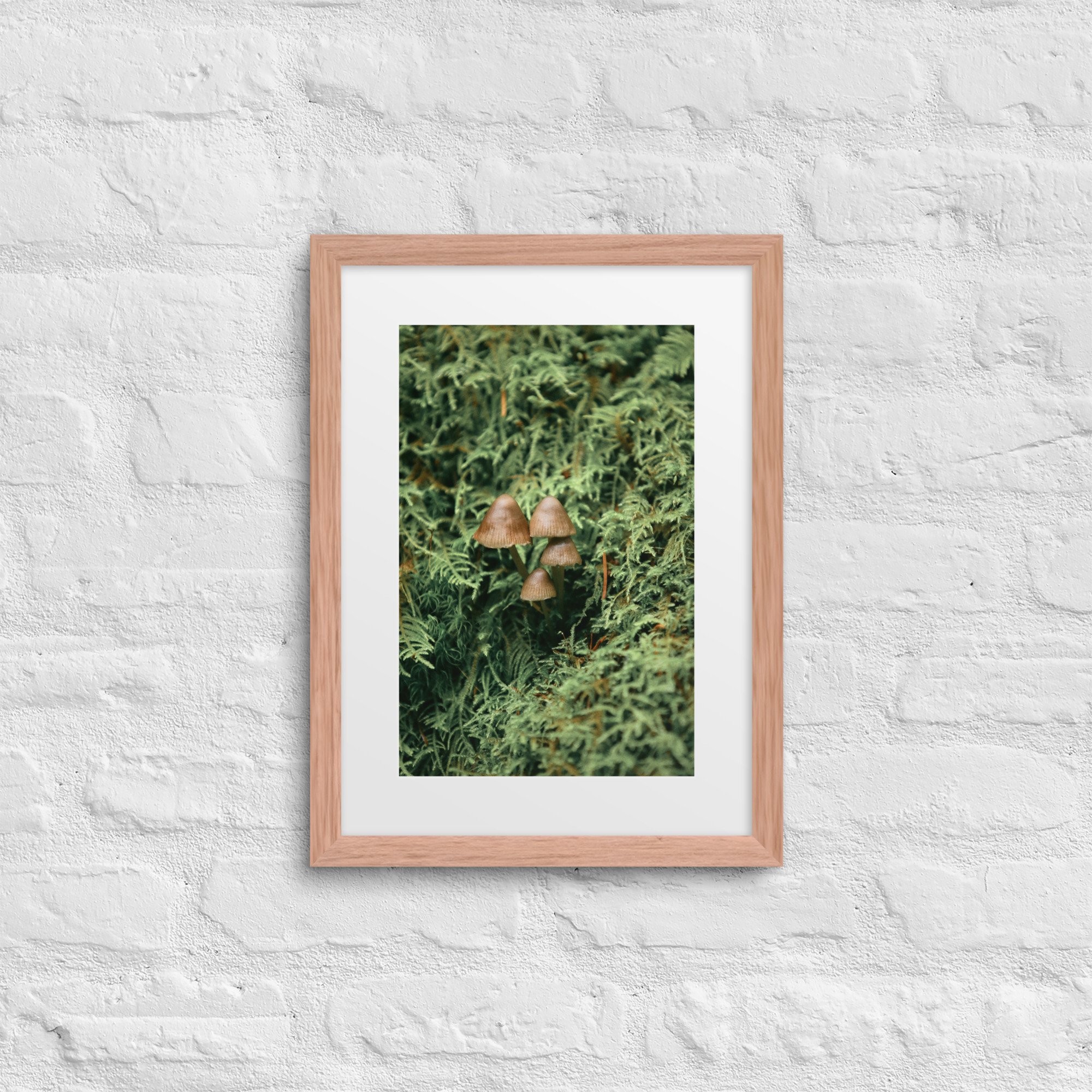 matte-paper-framed-poster-with-mat-(in)-red-oak-12x16-front-672a19fde723a.jpg