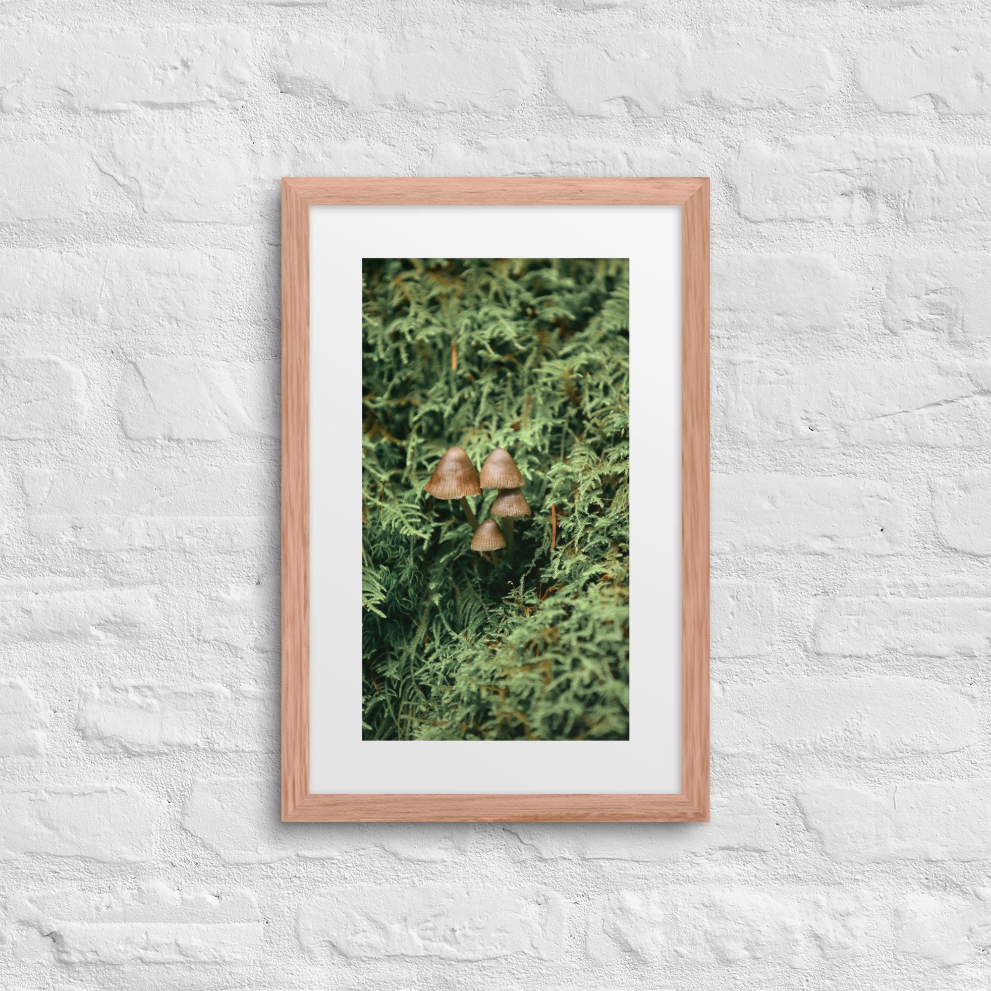 matte-paper-framed-poster-with-mat-(in)-red-oak-12x18-front-672a19fde72cc.jpg