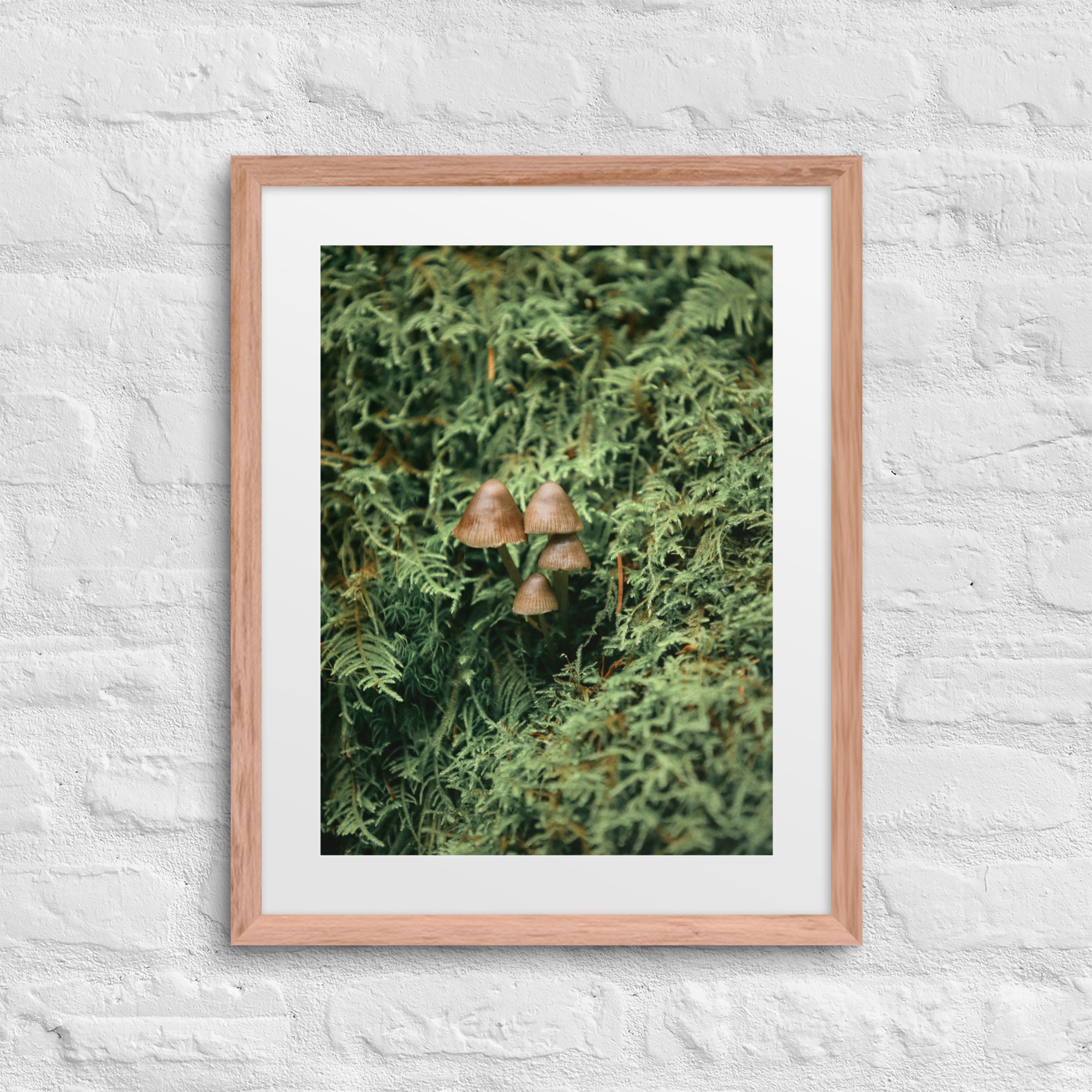 matte-paper-framed-poster-with-mat-(in)-red-oak-16x20-front-672a19fde735b.jpg