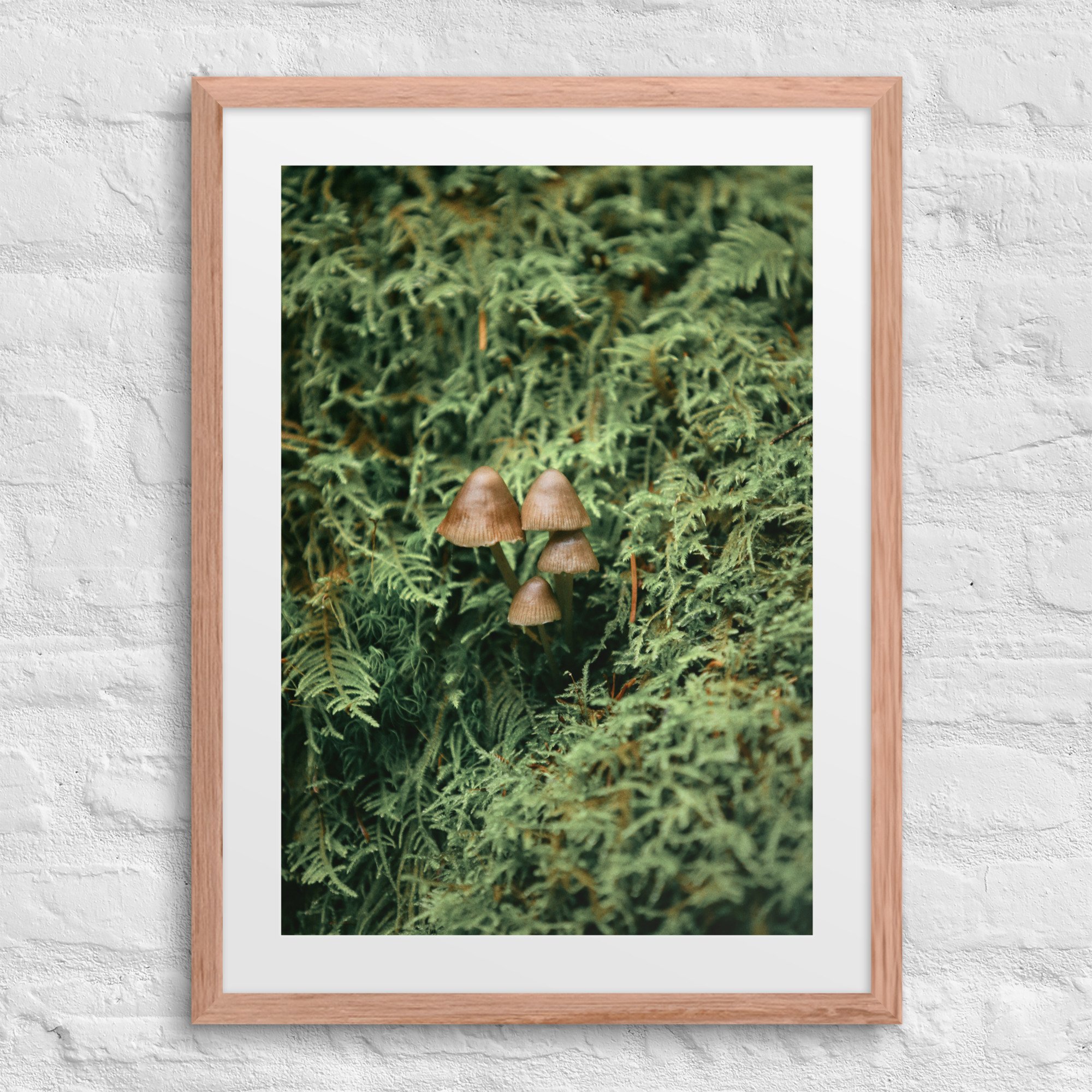 matte-paper-framed-poster-with-mat-(in)-red-oak-18x24-front-672a19fde73e8.jpg