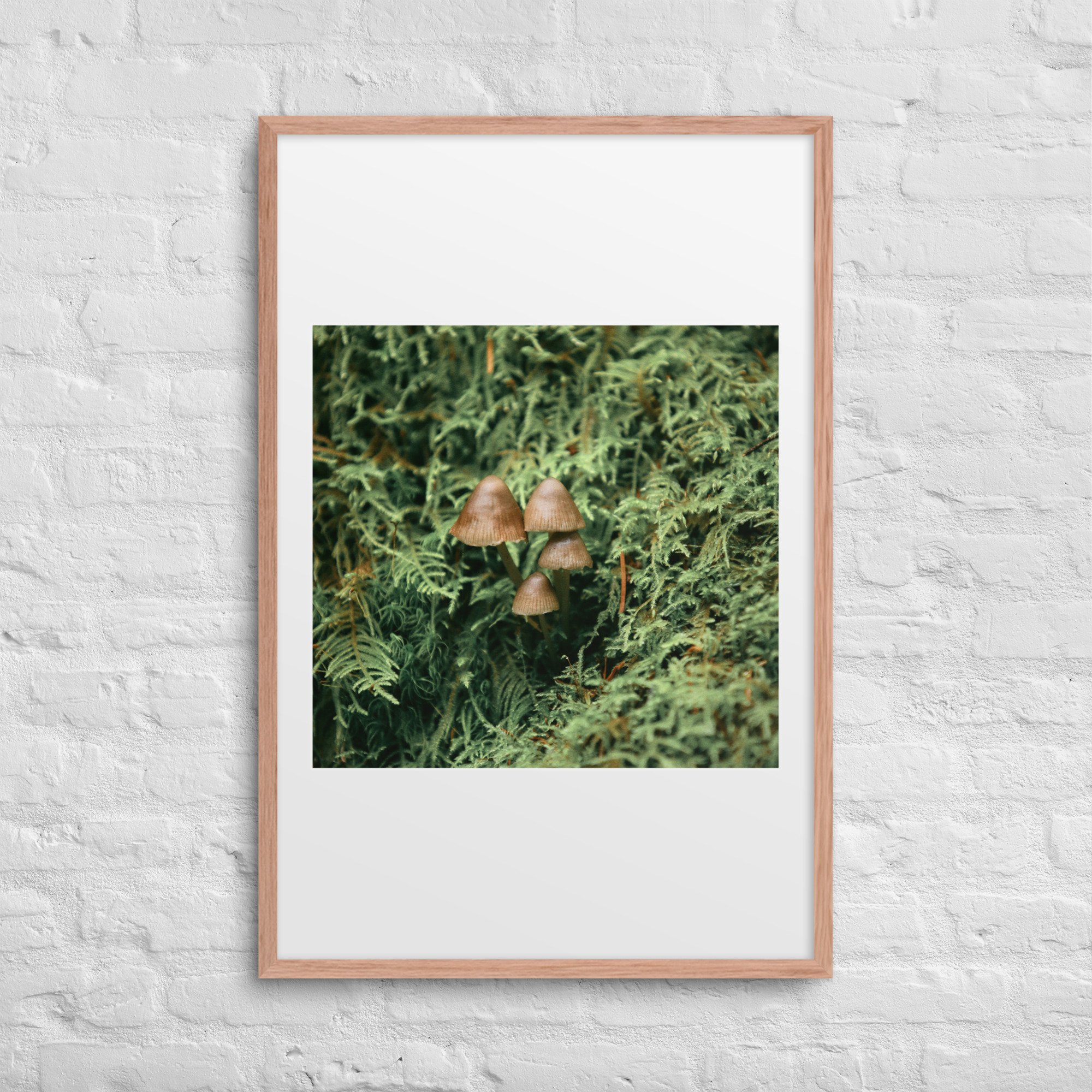 matte-paper-framed-poster-with-mat-(in)-red-oak-24x36-front-672a19fde7475.jpg