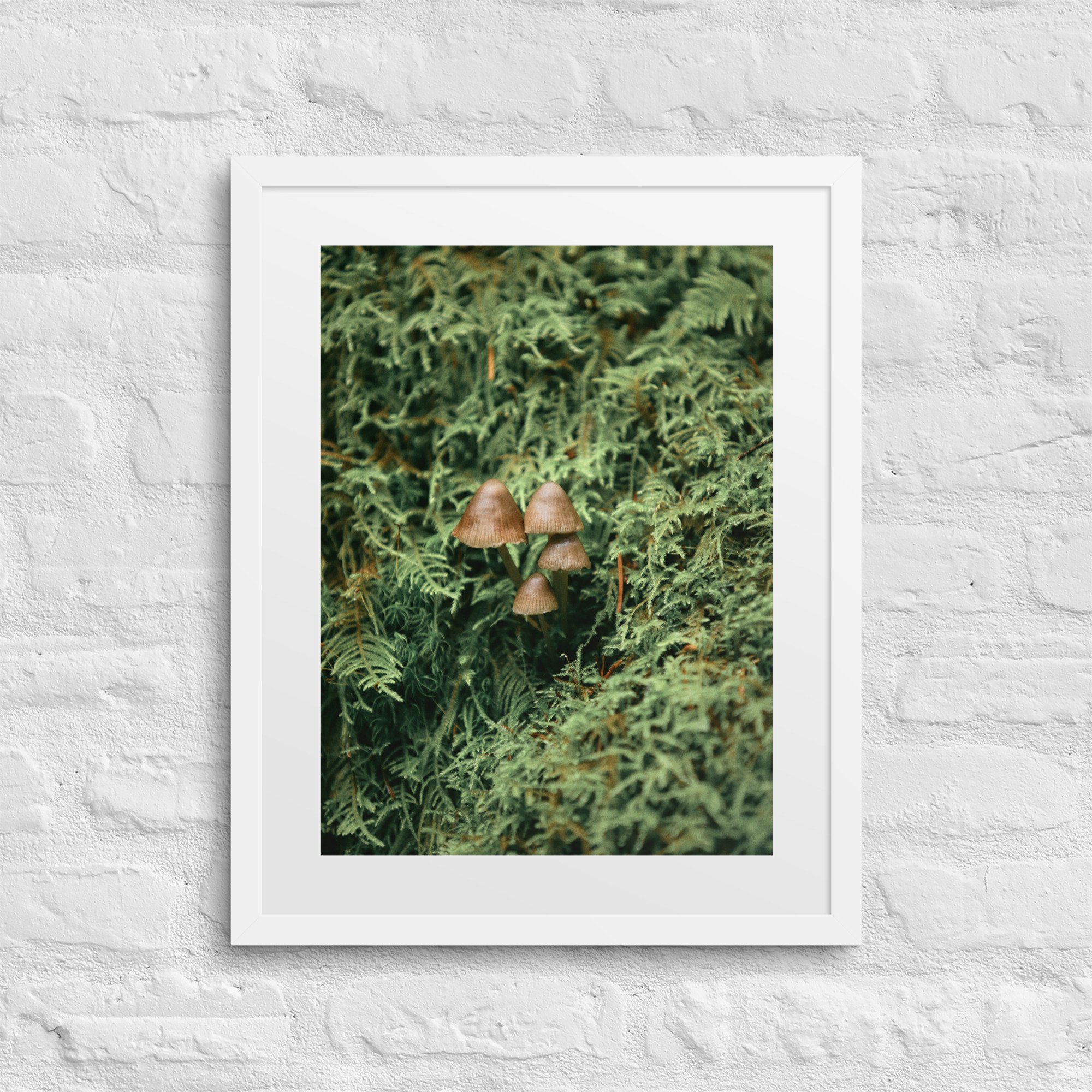 matte-paper-framed-poster-with-mat-(in)-white-16x20-front-672a19fde7613.jpg
