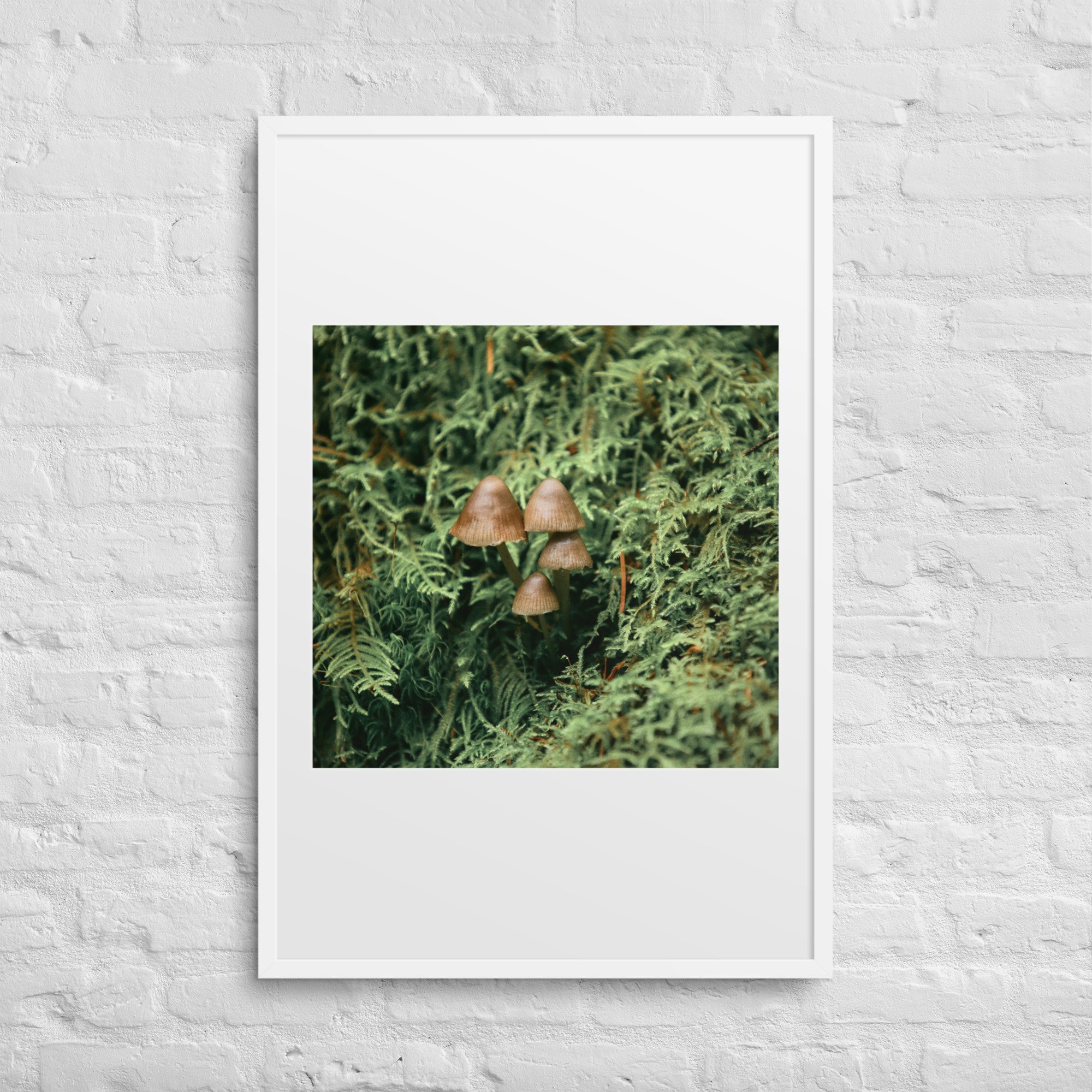 matte-paper-framed-poster-with-mat-(in)-white-24x36-front-672a19fde76ba.jpg