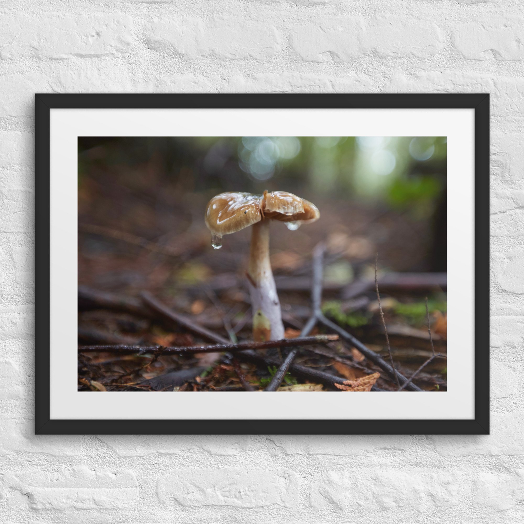 matte-paper-framed-poster-with-mat-(in)-black-18x24-front-672a1dd3a2786.jpg