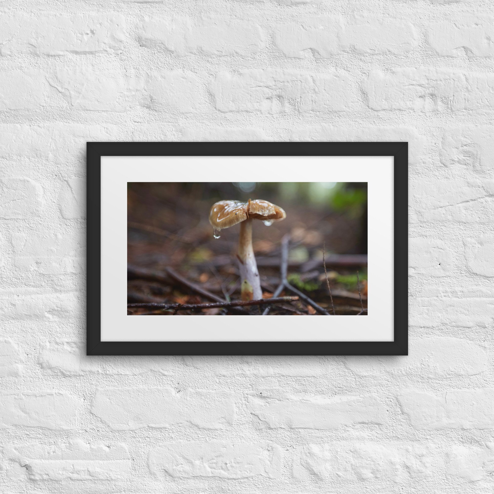 matte-paper-framed-poster-with-mat-(in)-black-12x18-front-672a1dd3a2d83.jpg