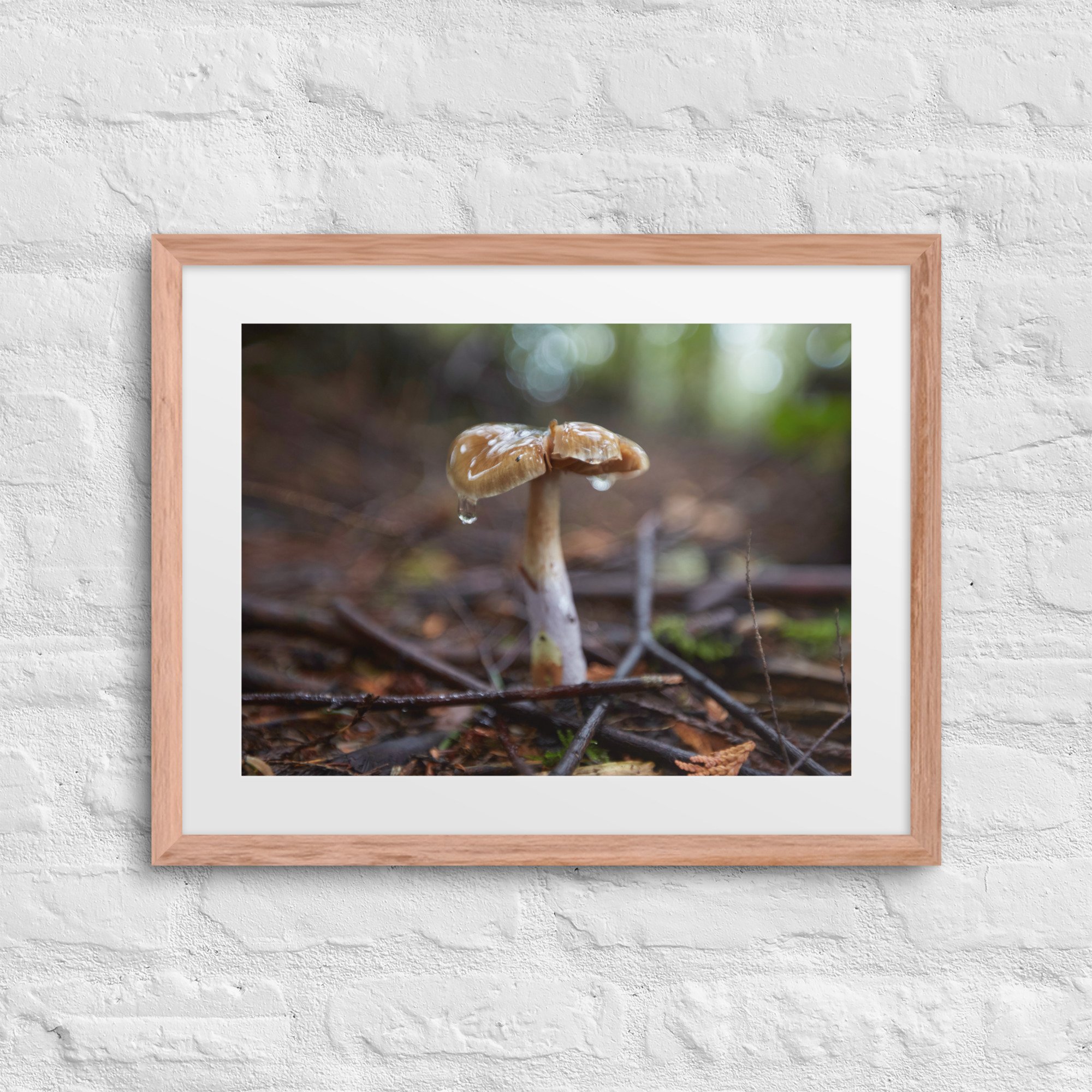 matte-paper-framed-poster-with-mat-(in)-red-oak-16x20-front-672a1dd3a2f12.jpg
