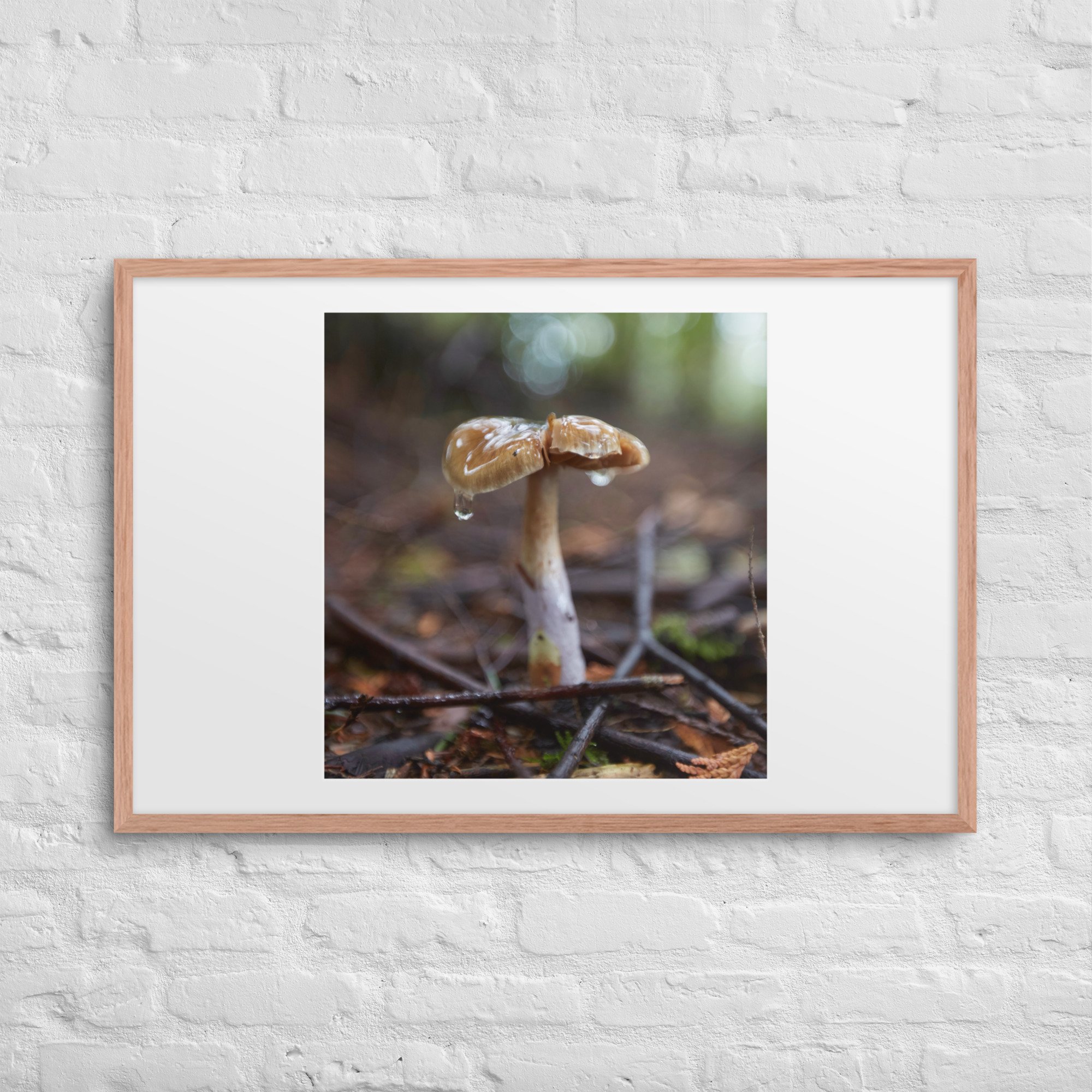 matte-paper-framed-poster-with-mat-(in)-red-oak-24x36-front-672a1dd3a2fa8.jpg
