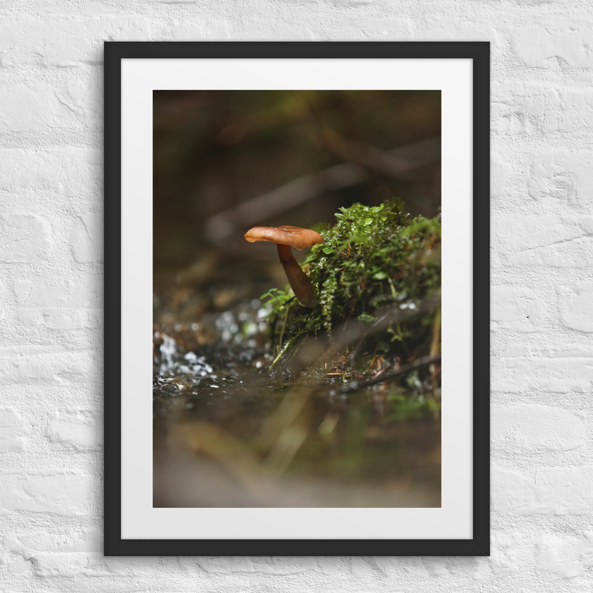 matte-paper-framed-poster-with-mat-(in)-black-18x24-front-672a1eeec09e9.jpg