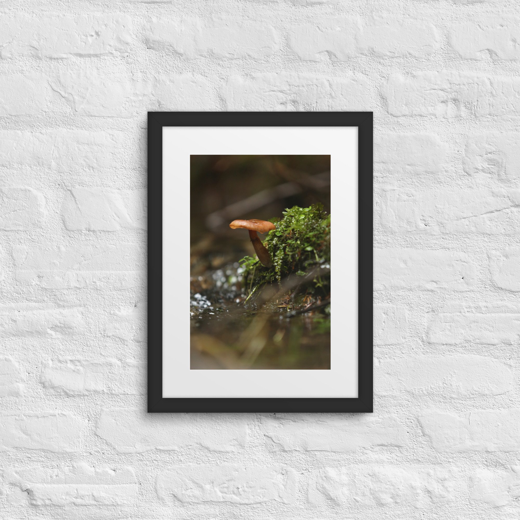matte-paper-framed-poster-with-mat-(in)-black-12x16-front-672a1eeec1d3d.jpg