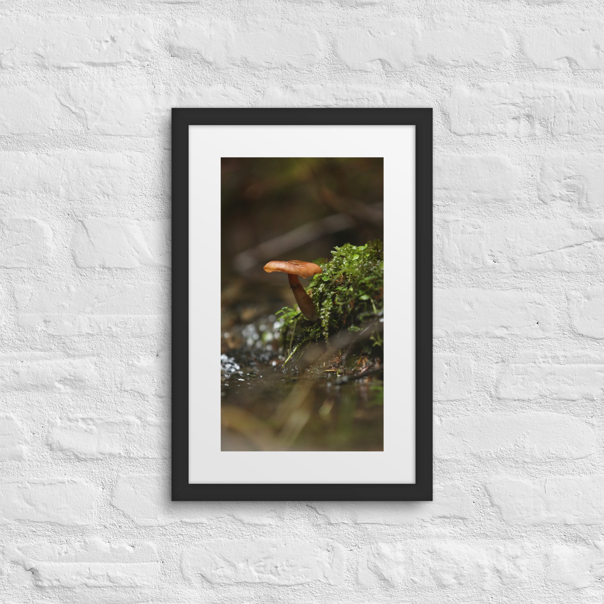 matte-paper-framed-poster-with-mat-(in)-black-12x18-front-672a1eeec1e07.jpg