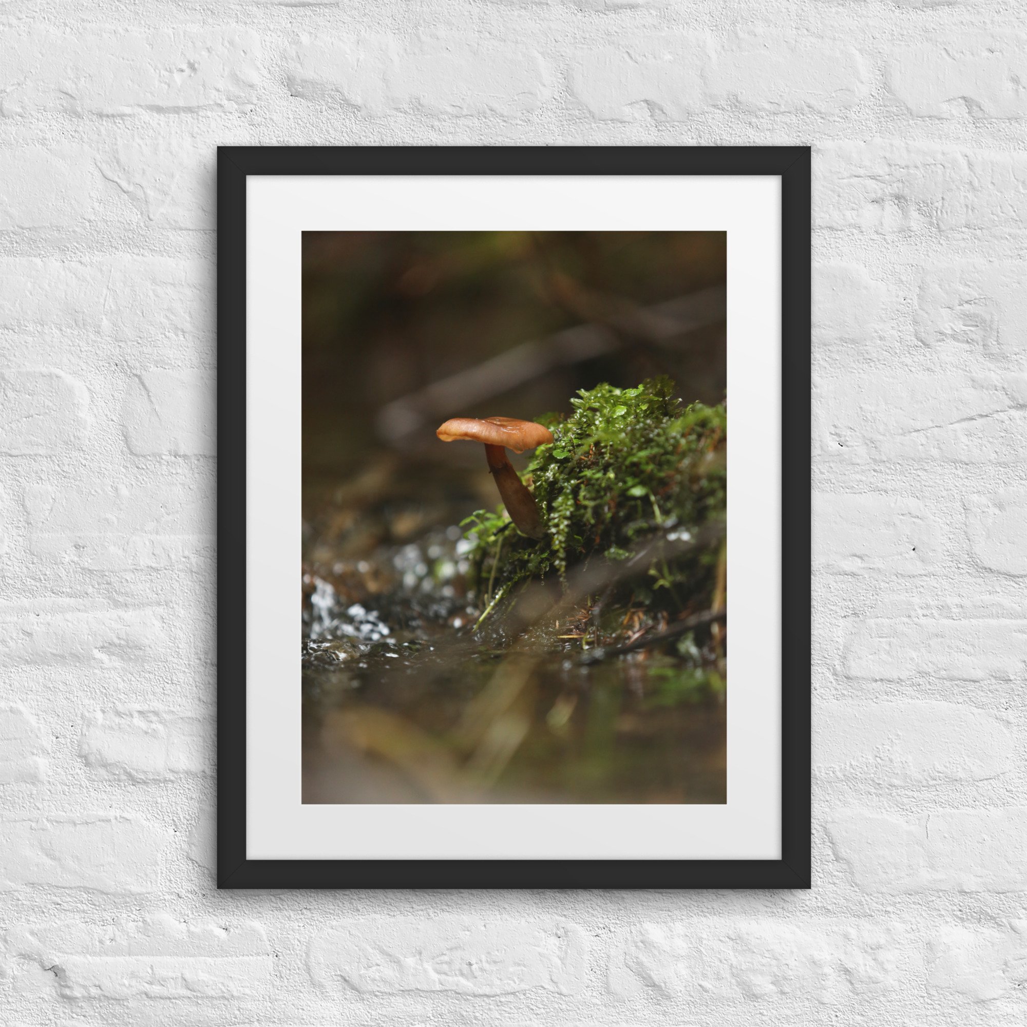 matte-paper-framed-poster-with-mat-(in)-black-16x20-front-672a1eeec1ea9.jpg
