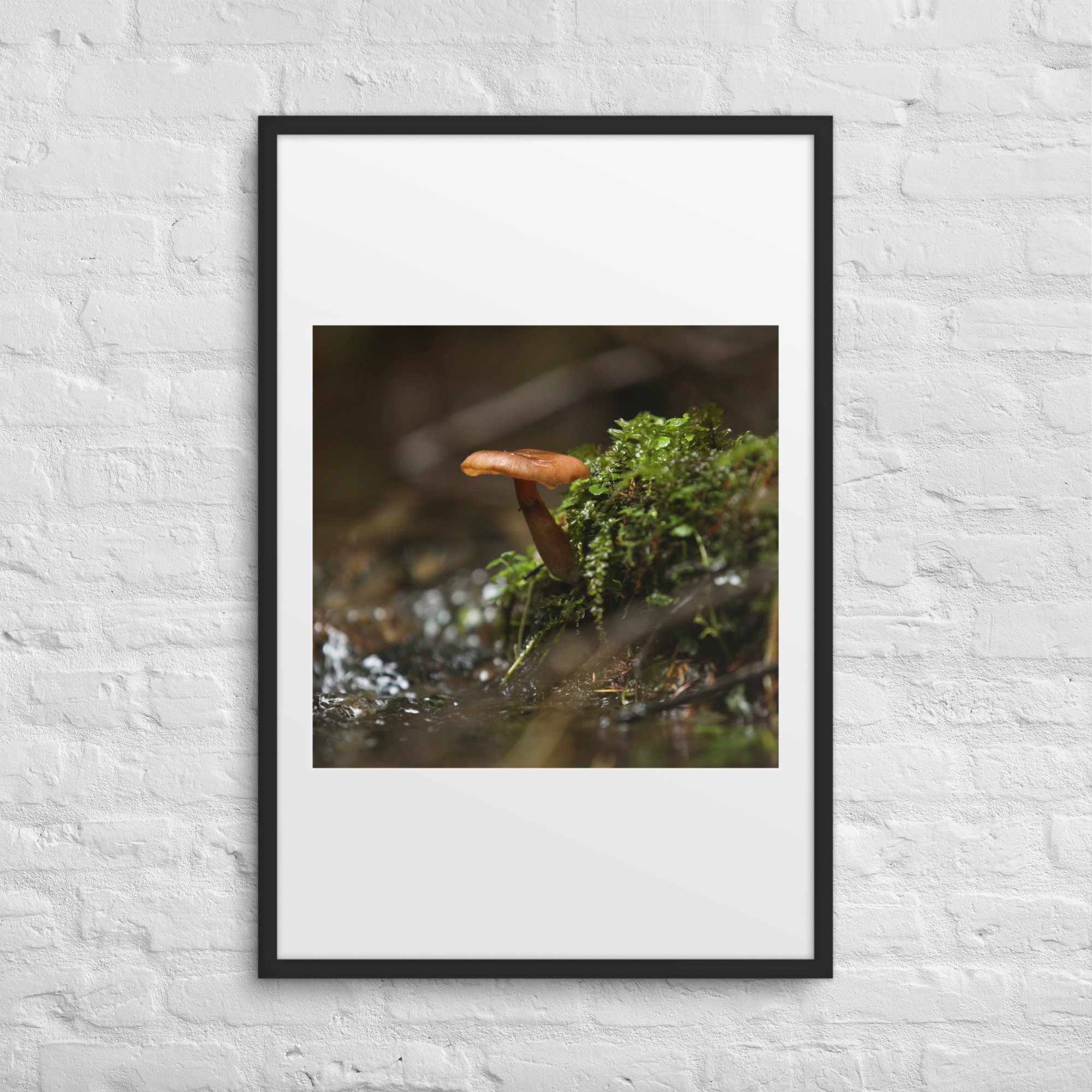 matte-paper-framed-poster-with-mat-(in)-black-24x36-front-672a1eeec1f3a.jpg