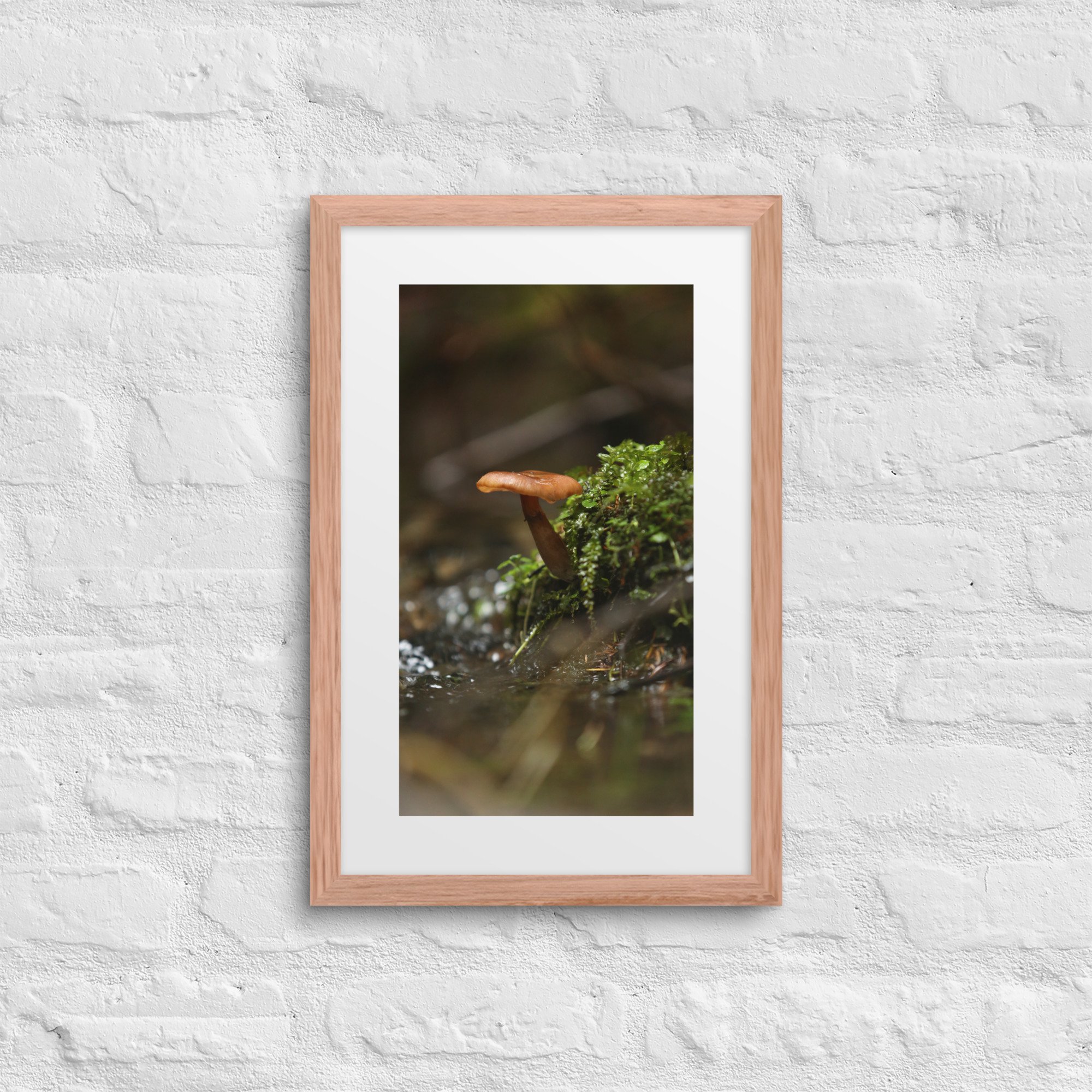 matte-paper-framed-poster-with-mat-(in)-red-oak-12x18-front-672a1eeec2034.jpg