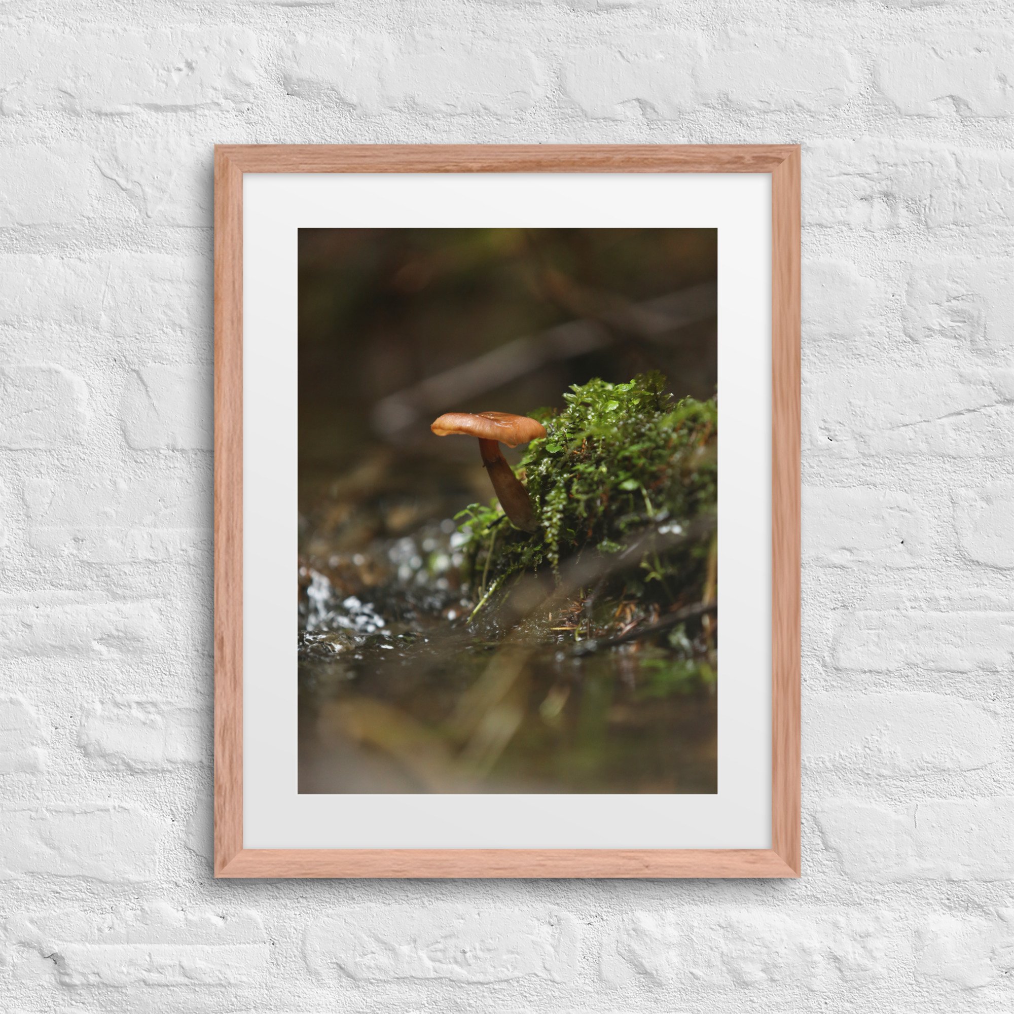 matte-paper-framed-poster-with-mat-(in)-red-oak-16x20-front-672a1eeec20bc.jpg