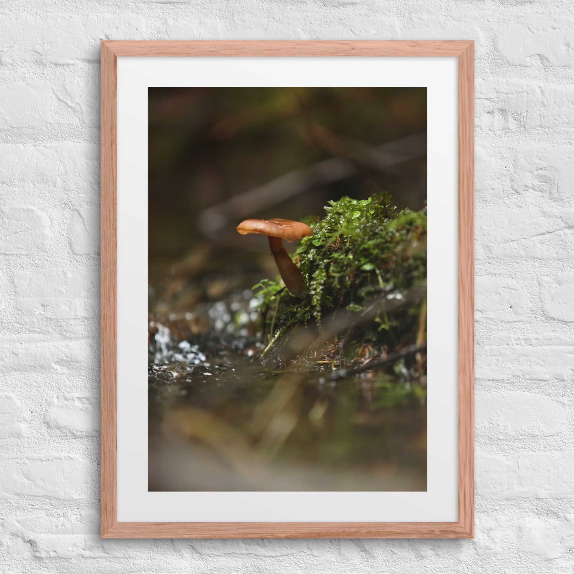 matte-paper-framed-poster-with-mat-(in)-red-oak-18x24-front-672a1eeec2143.jpg