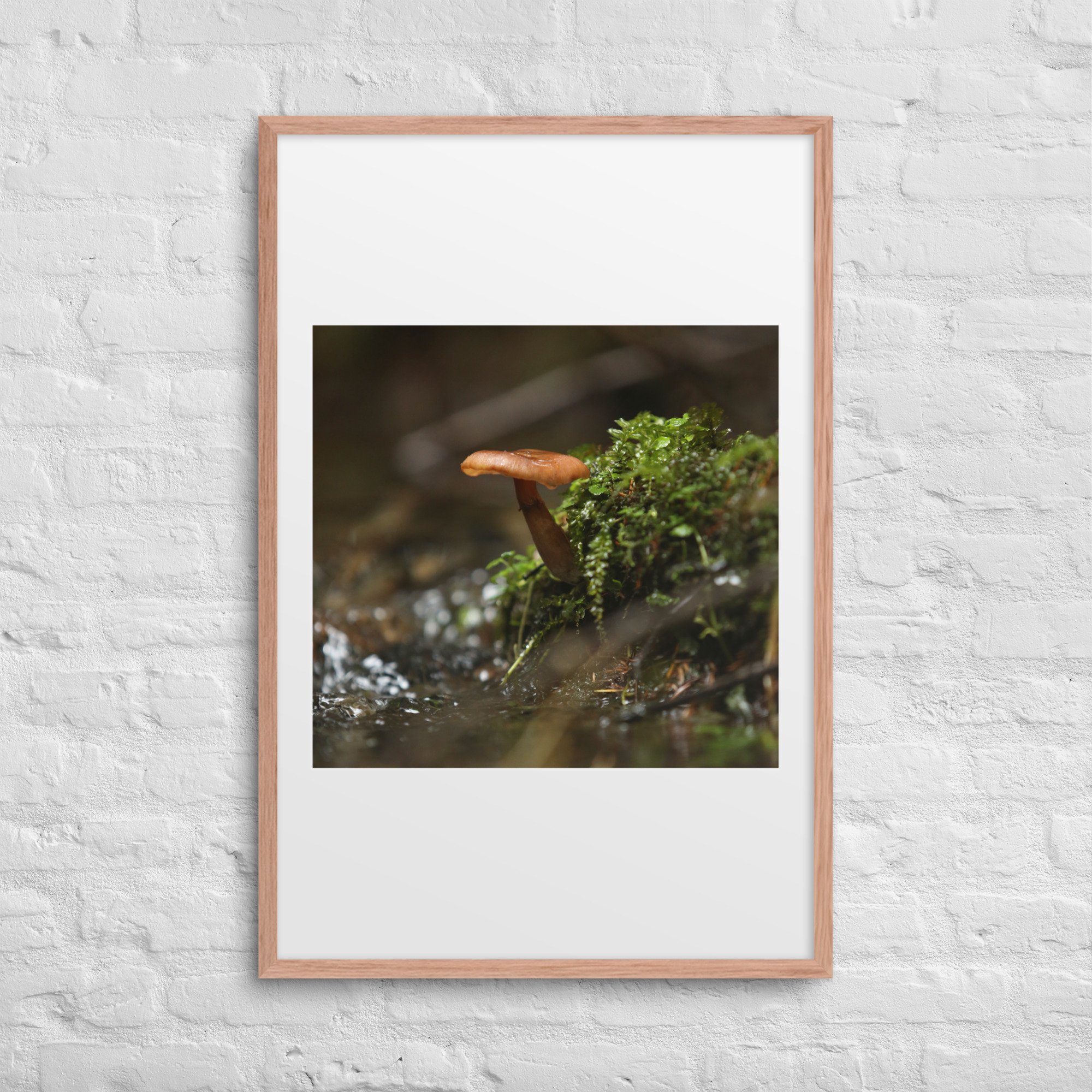 matte-paper-framed-poster-with-mat-(in)-red-oak-24x36-front-672a1eeec21eb.jpg