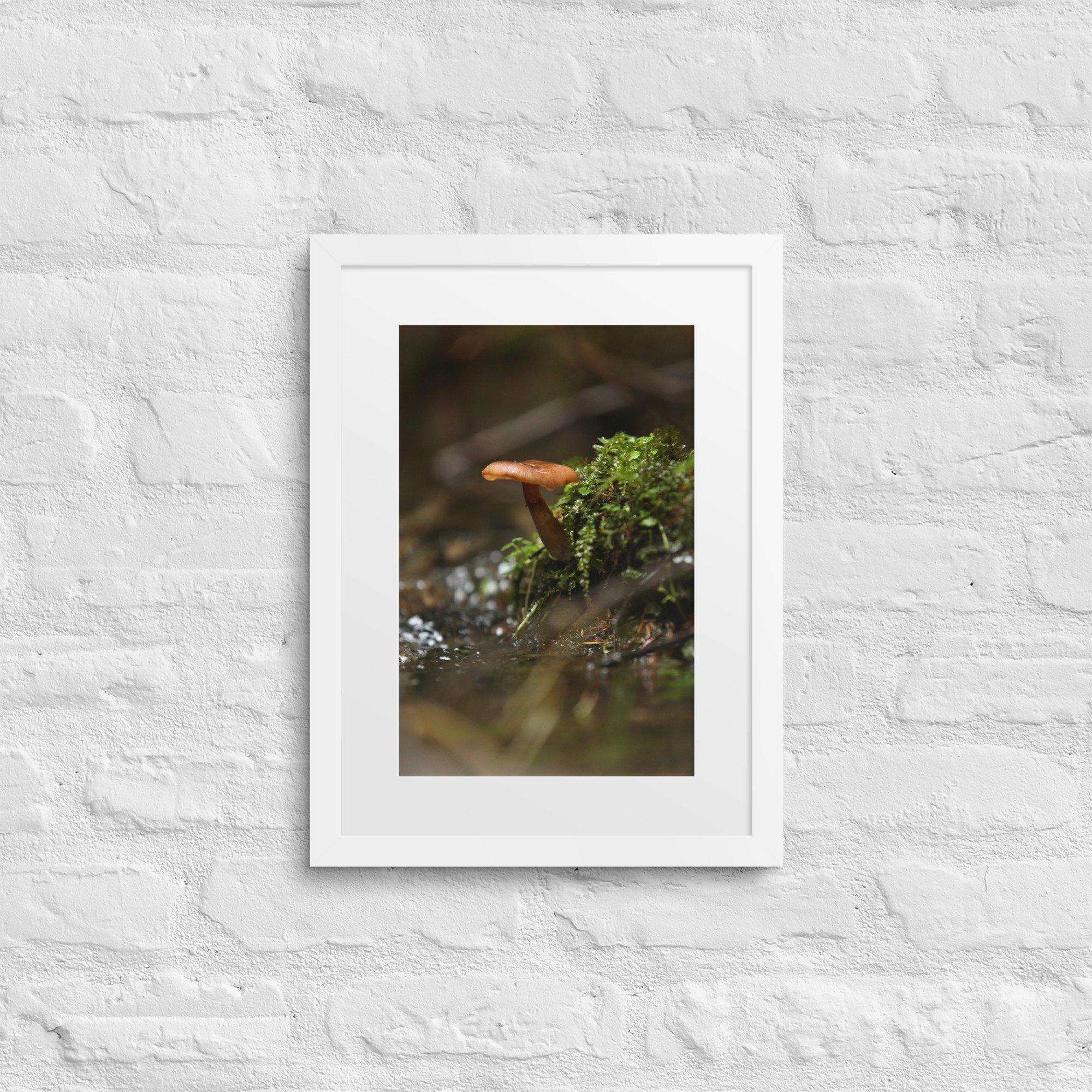 matte-paper-framed-poster-with-mat-(in)-white-12x16-front-672a1eeec227b.jpg