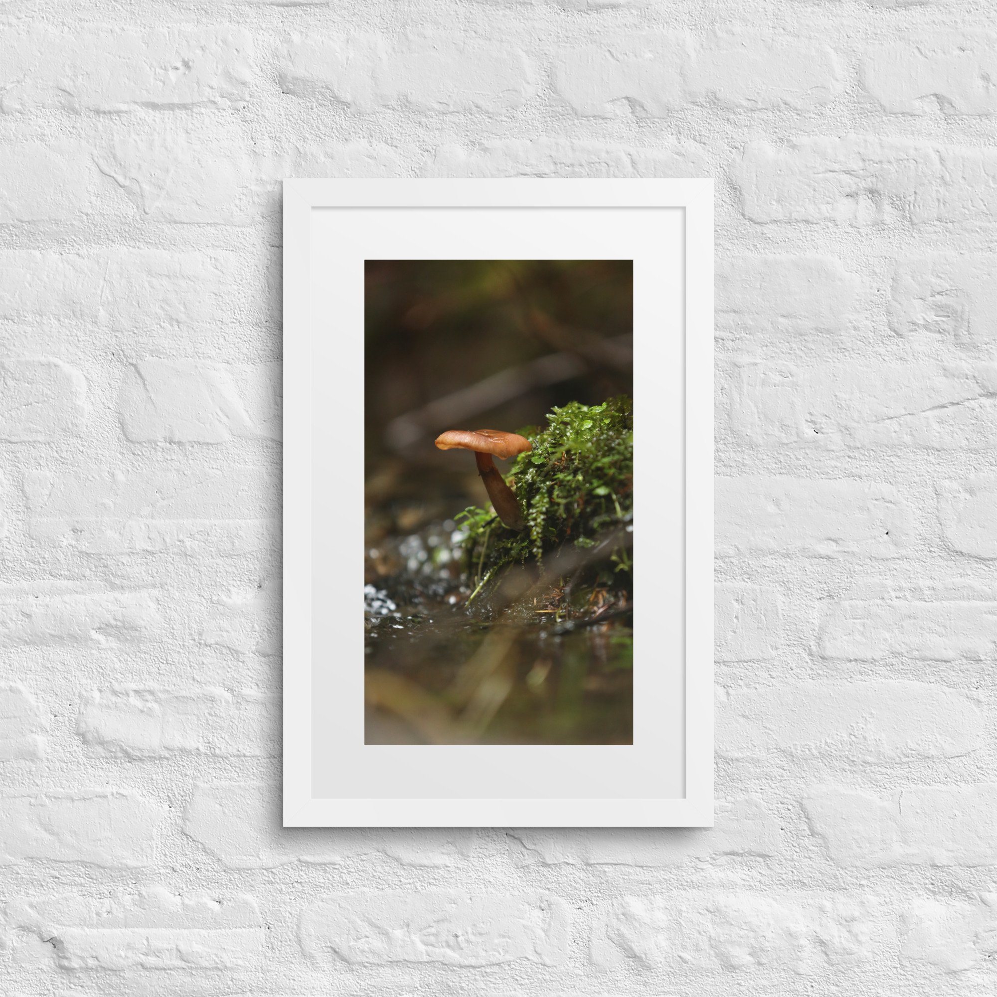 matte-paper-framed-poster-with-mat-(in)-white-12x18-front-672a1eeec230d.jpg
