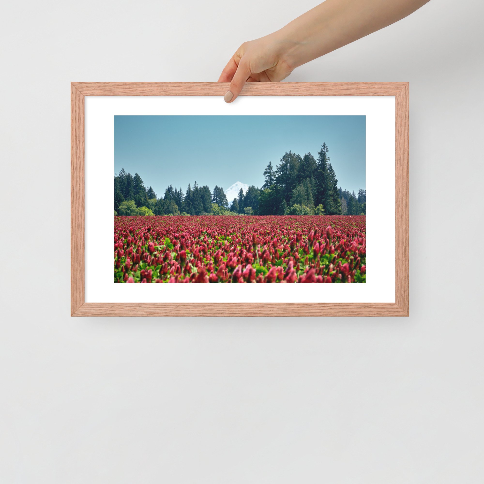 enhanced-matte-paper-framed-poster-(in)-red-oak-12x18-front-672a2121657cf.jpg