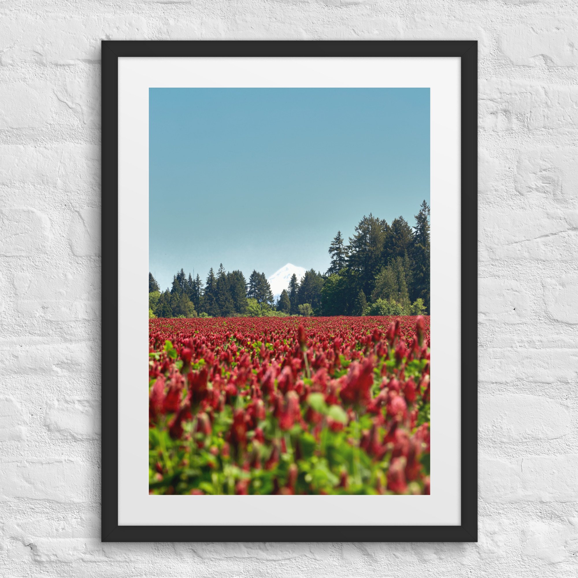 matte-paper-framed-poster-with-mat-(in)-black-18x24-front-672a21b156d2d.jpg