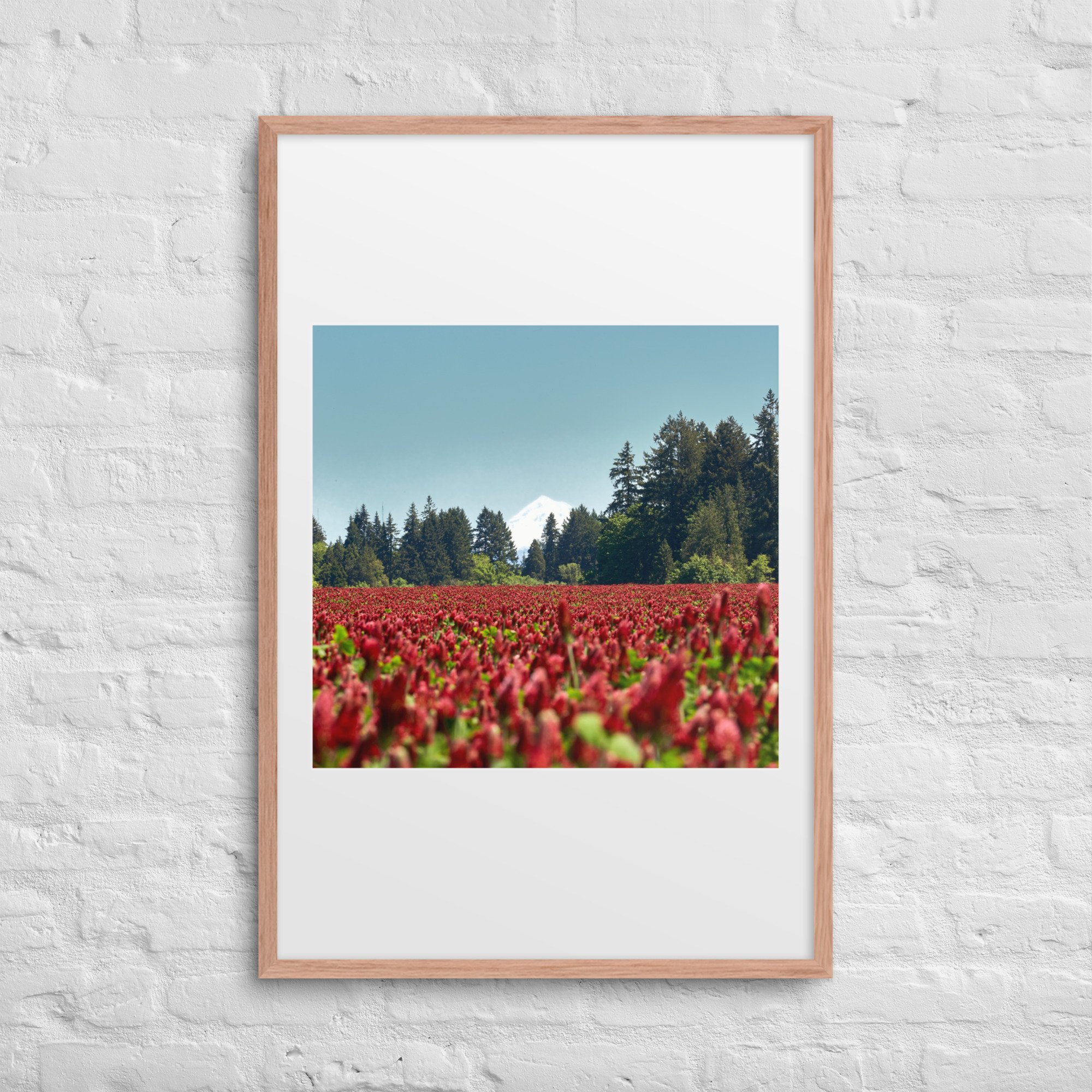 matte-paper-framed-poster-with-mat-(in)-red-oak-24x36-front-672a21b1570ac.jpg
