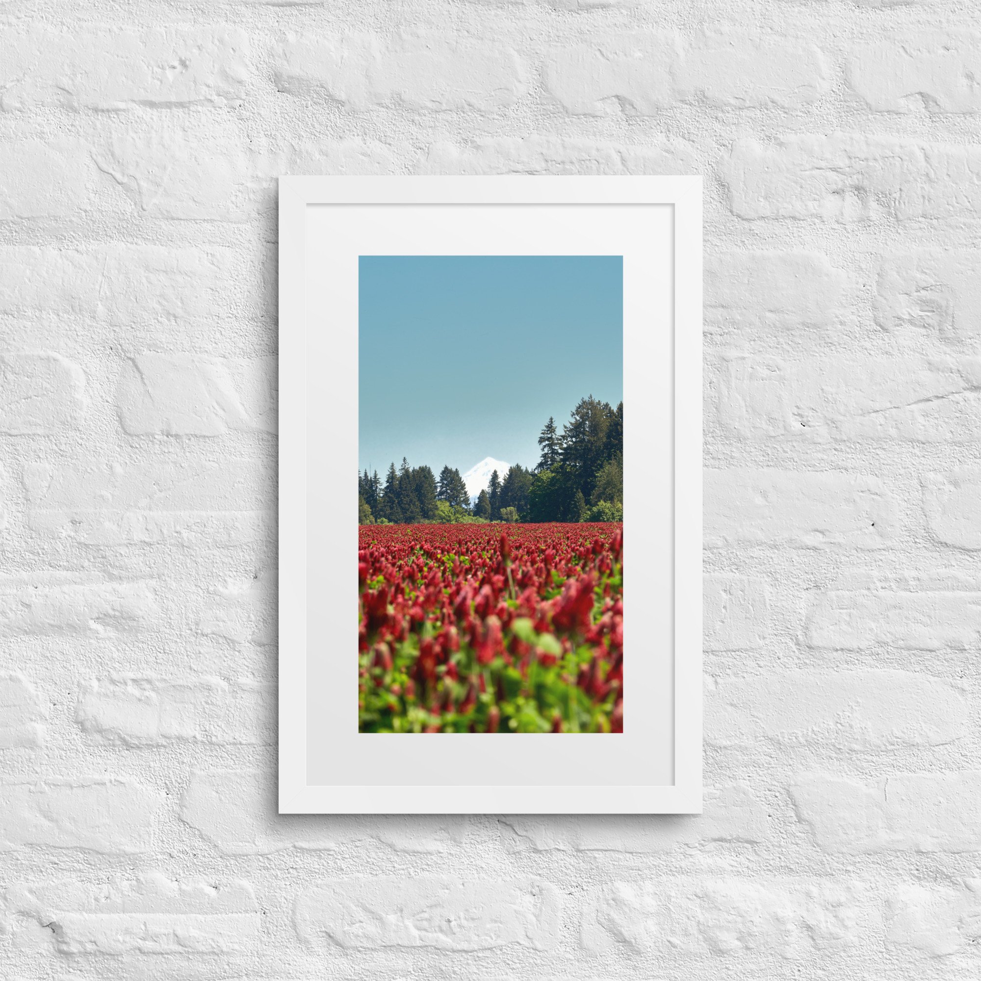 matte-paper-framed-poster-with-mat-(in)-white-12x18-front-672a21b1571d0.jpg