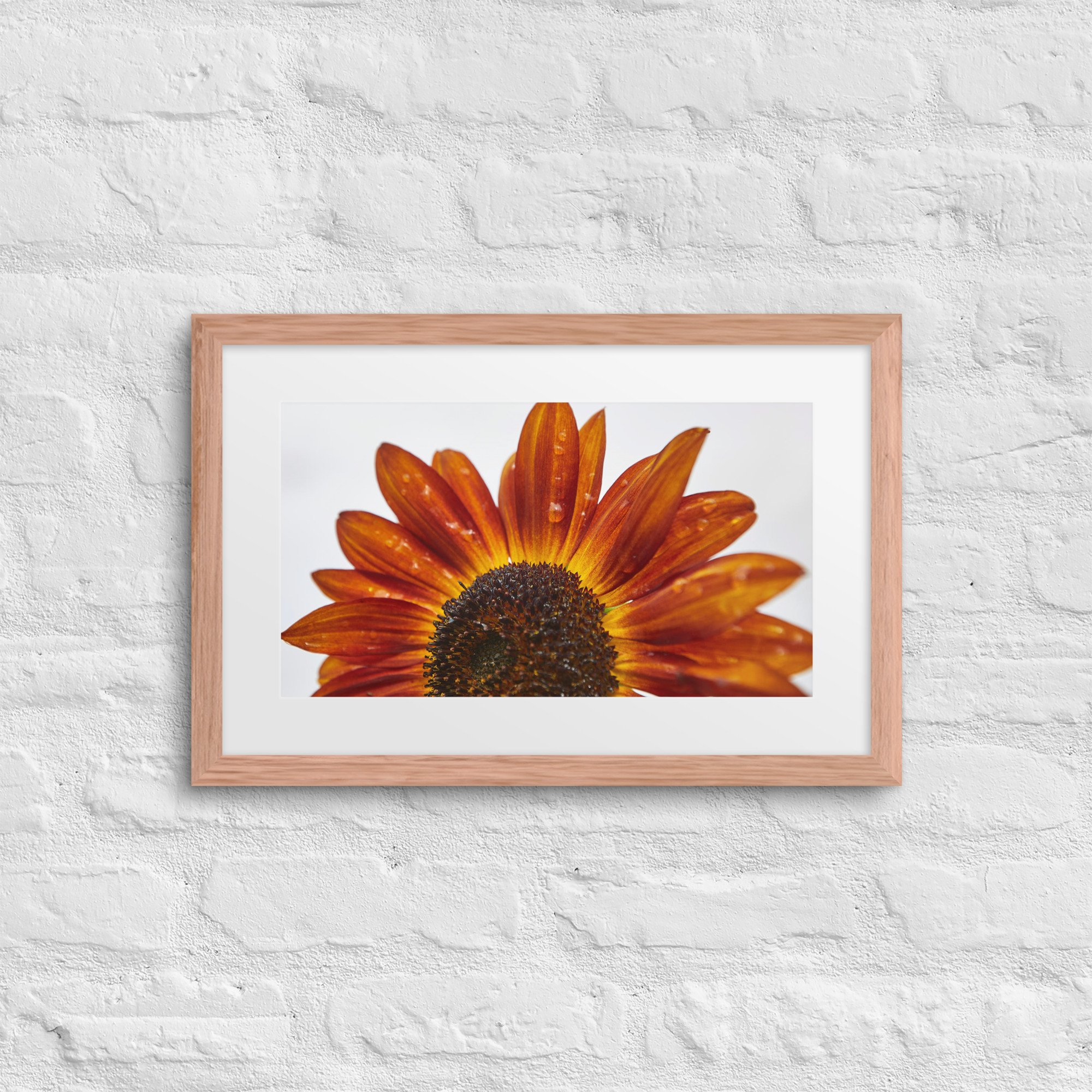 matte-paper-framed-poster-with-mat-(in)-red-oak-12x18-front-672a22ab09d8d.jpg