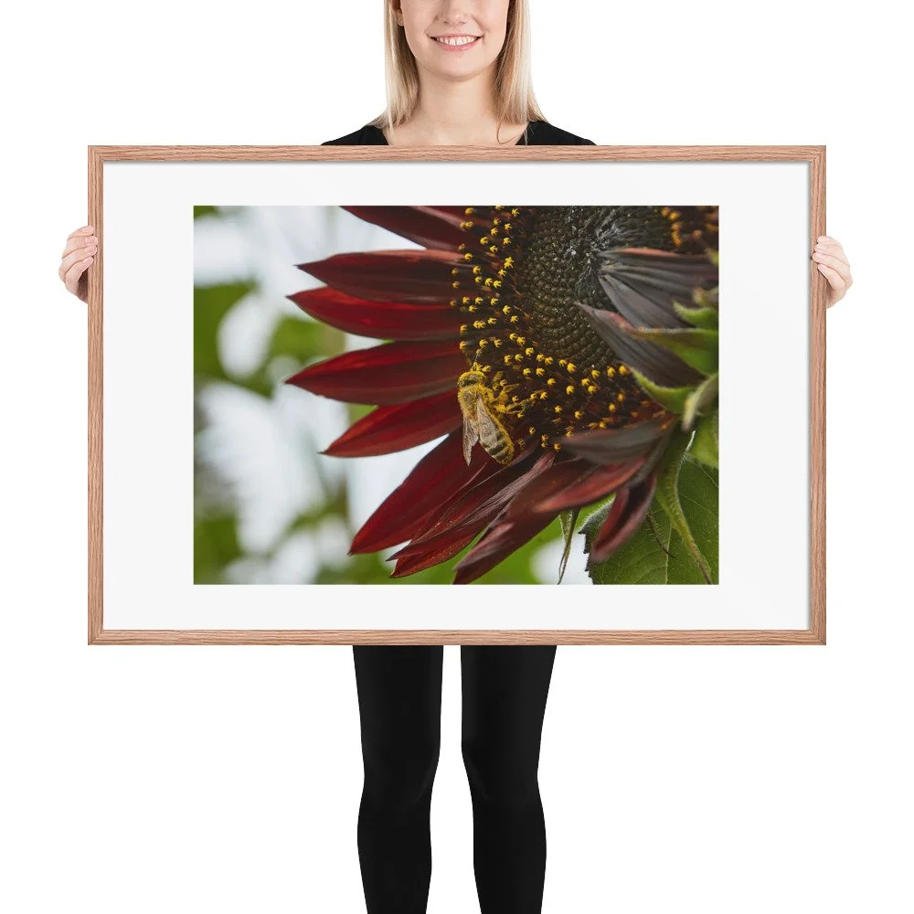enhanced-matte-paper-framed-poster-(in)-red-oak-24x36-person-672a24d0dc9b2.jpg