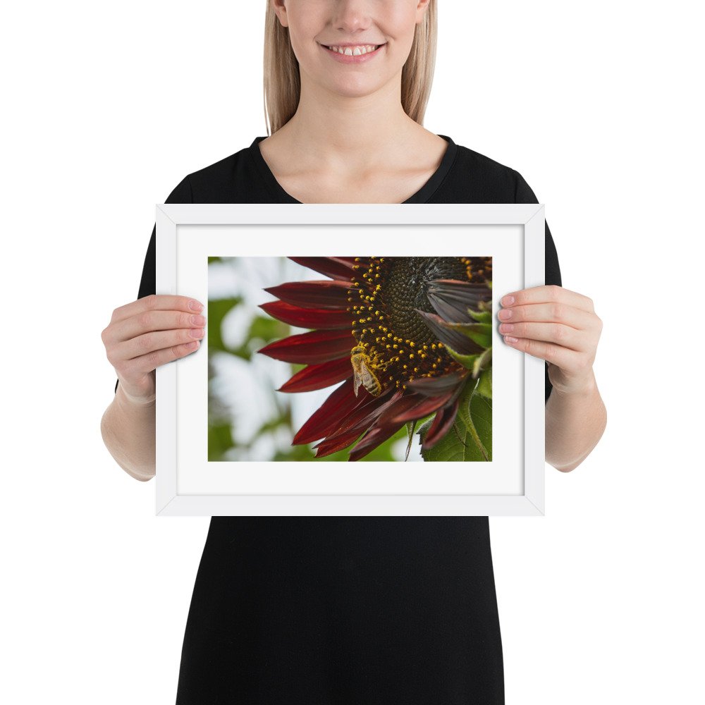 enhanced-matte-paper-framed-poster-(in)-white-11x14-person-672a24d0dcbe3.jpg