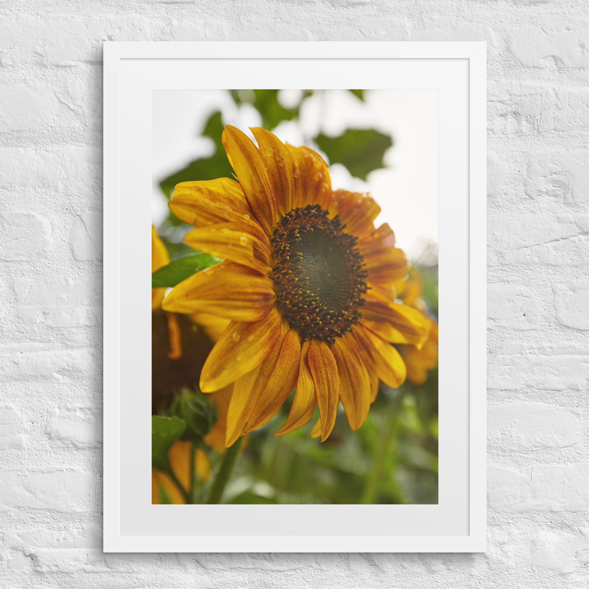 matte-paper-framed-poster-with-mat-(in)-white-18x24-front-672a24f7cf062.jpg