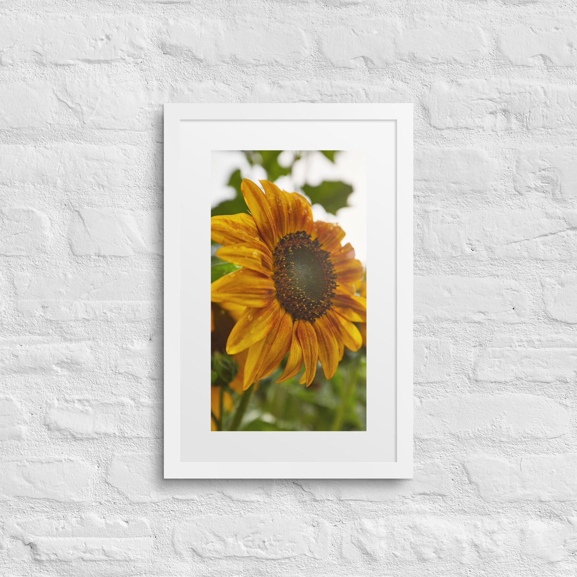 matte-paper-framed-poster-with-mat-(in)-white-12x18-front-672a24f7d172d.jpg