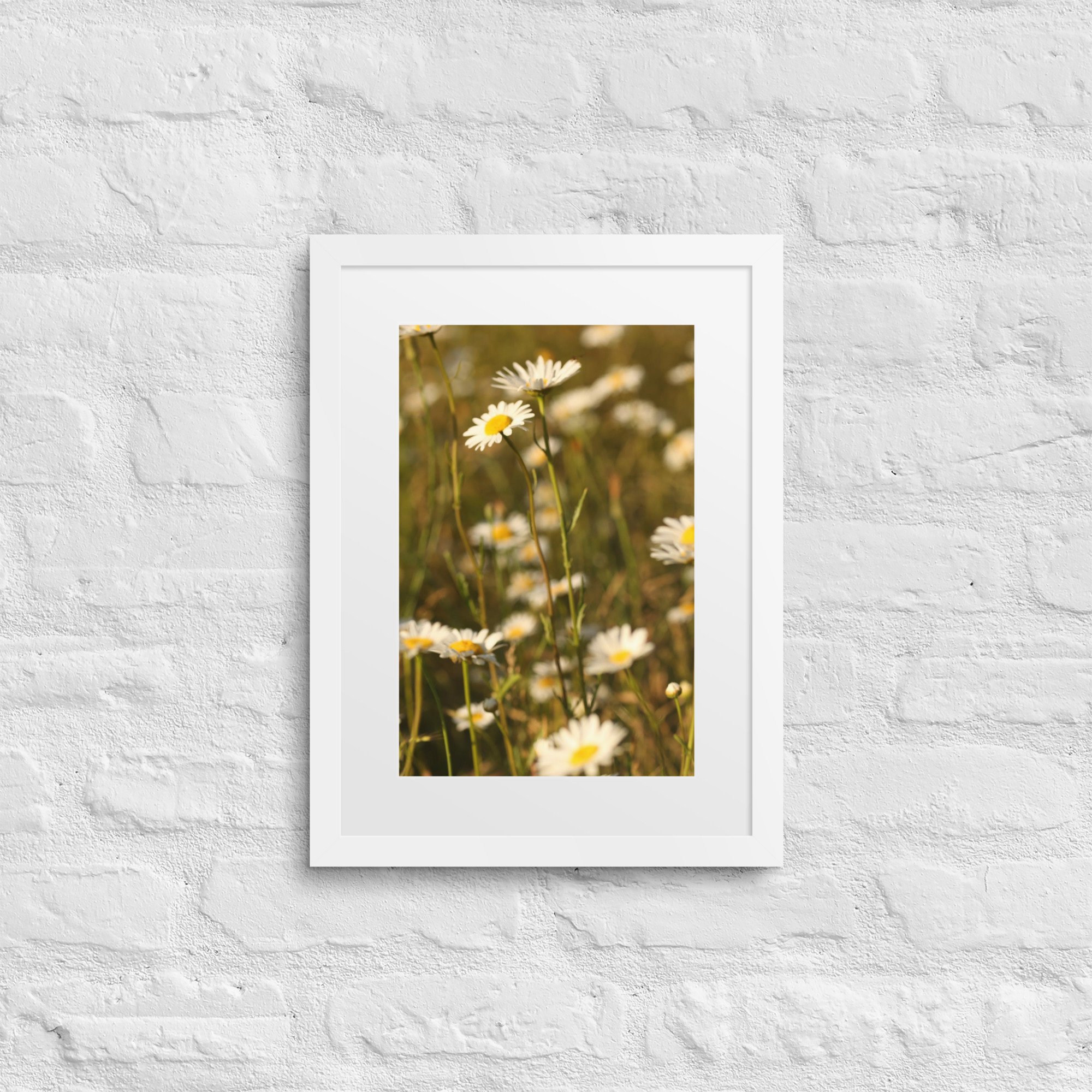 matte-paper-framed-poster-with-mat-(in)-white-12x16-front-672a2fdc4ea93.jpg