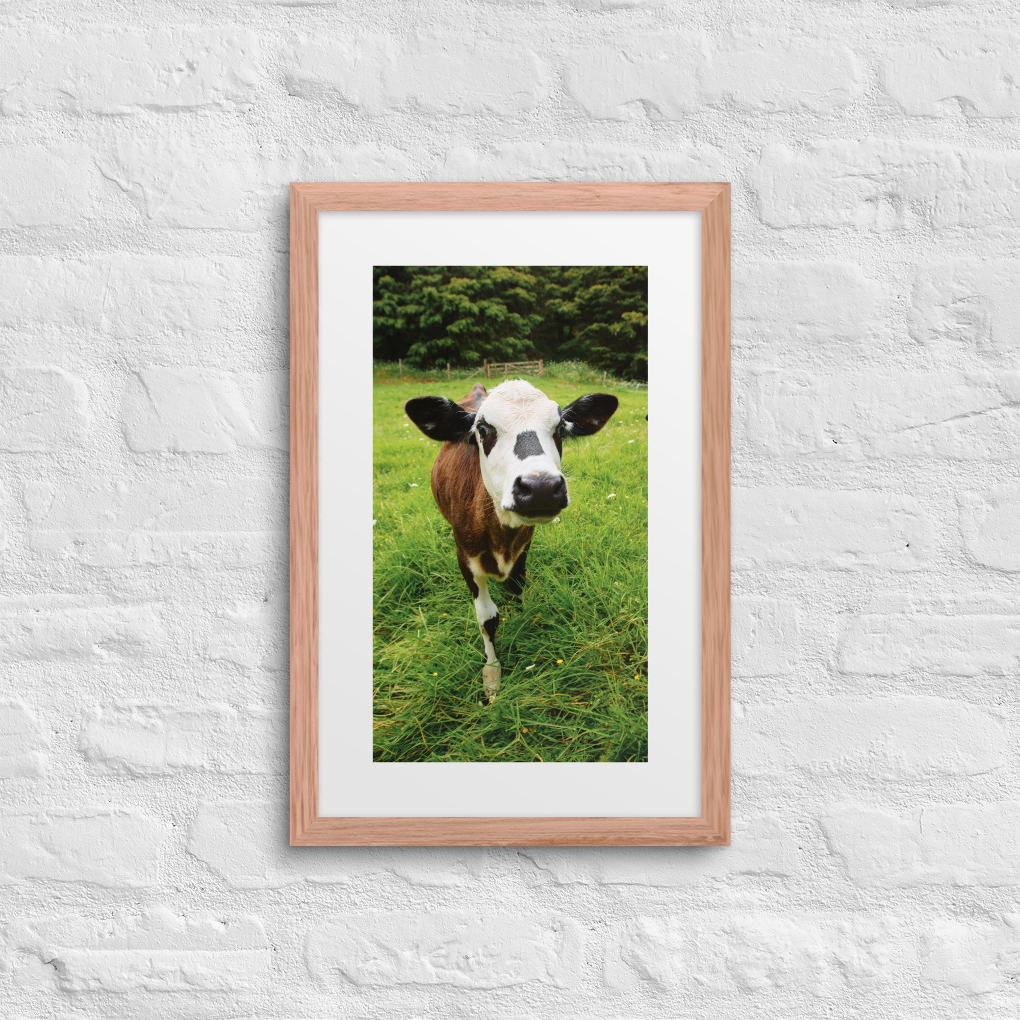 matte-paper-framed-poster-with-mat-(in)-red-oak-12x18-front-672a3227dba5c.jpg