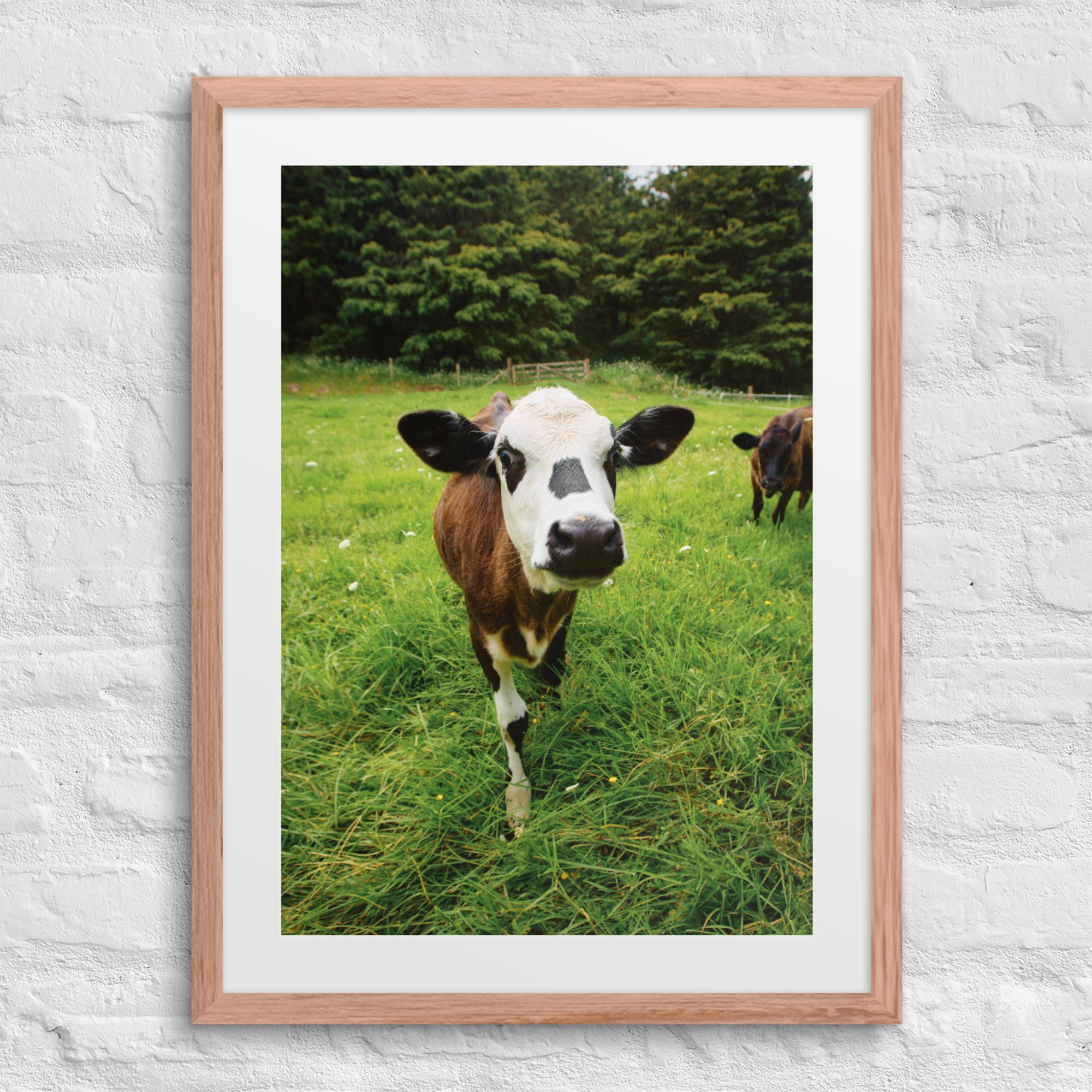 matte-paper-framed-poster-with-mat-(in)-red-oak-18x24-front-672a3227dbb6c.jpg