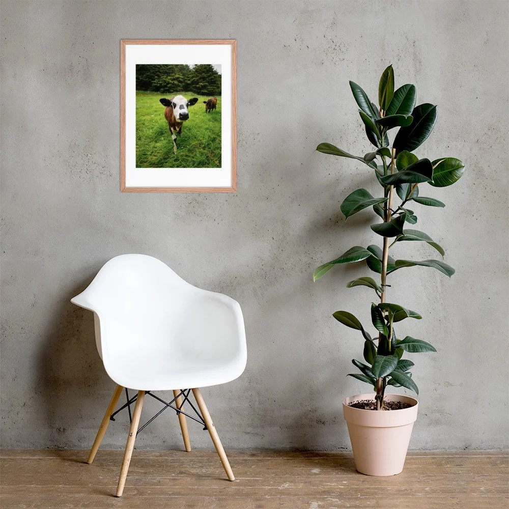 enhanced-matte-paper-framed-poster-(in)-red-oak-18x24-lifestyle-1-672a32a282593.jpg