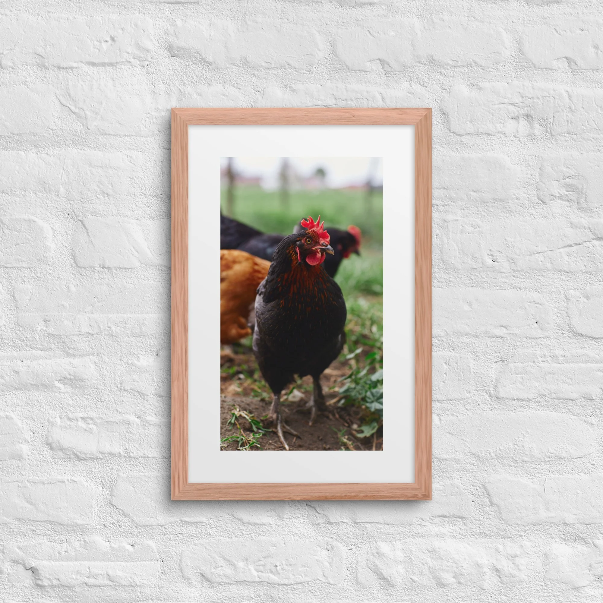 matte-paper-framed-poster-with-mat-(in)-red-oak-12x18-front-672a331f167de.jpg