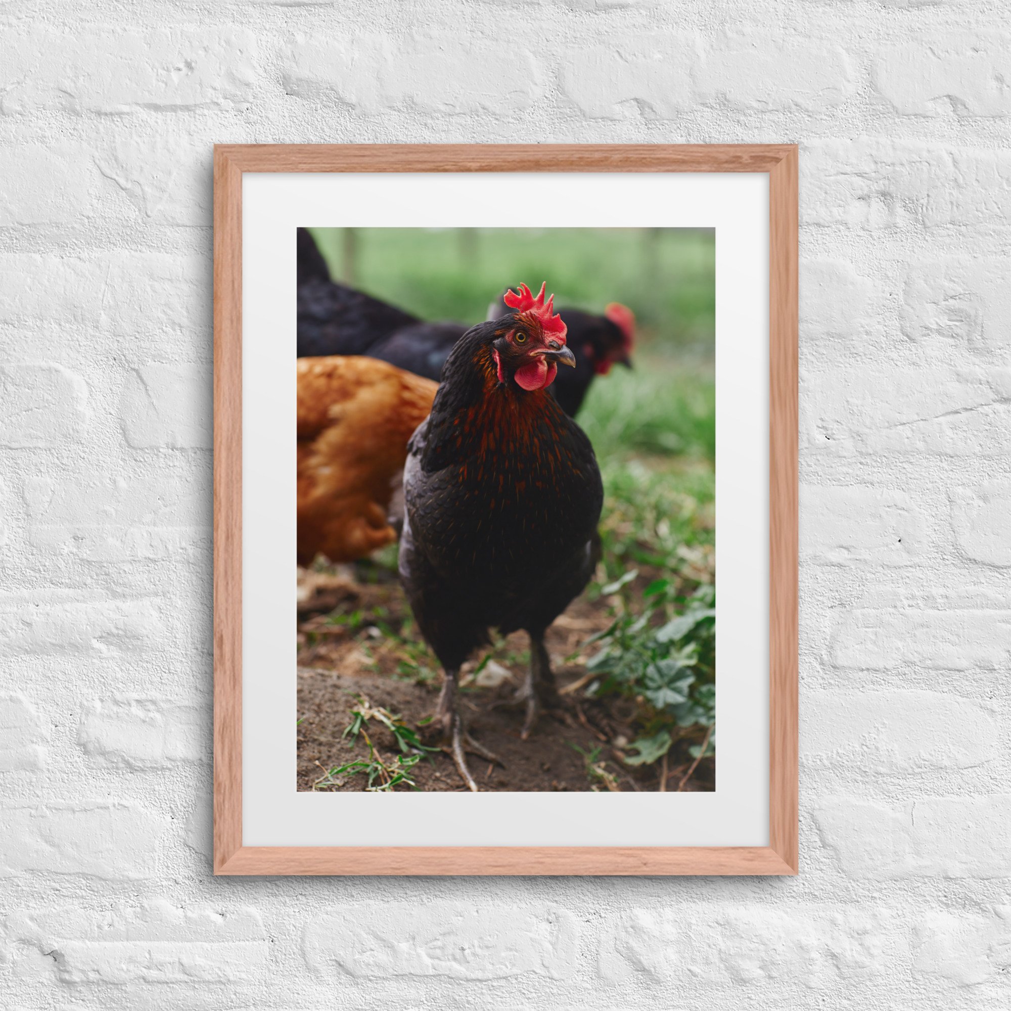 matte-paper-framed-poster-with-mat-(in)-red-oak-16x20-front-672a331f1684d.jpg