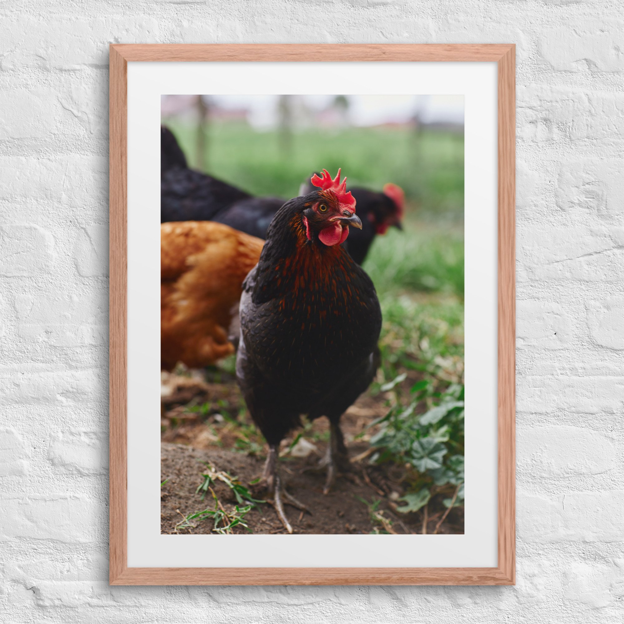 matte-paper-framed-poster-with-mat-(in)-red-oak-18x24-front-672a331f168d0.jpg