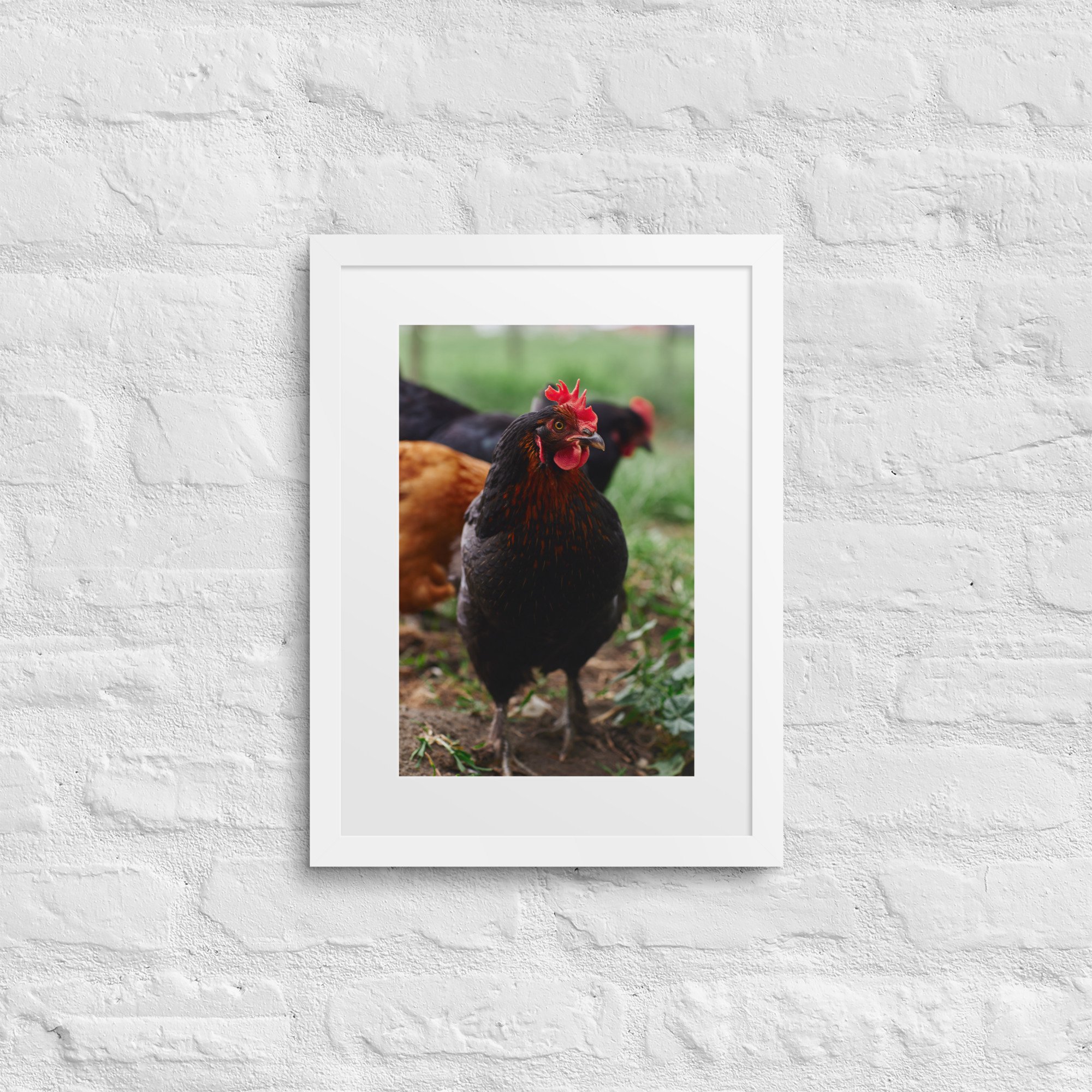 matte-paper-framed-poster-with-mat-(in)-white-12x16-front-672a331f1694f.jpg
