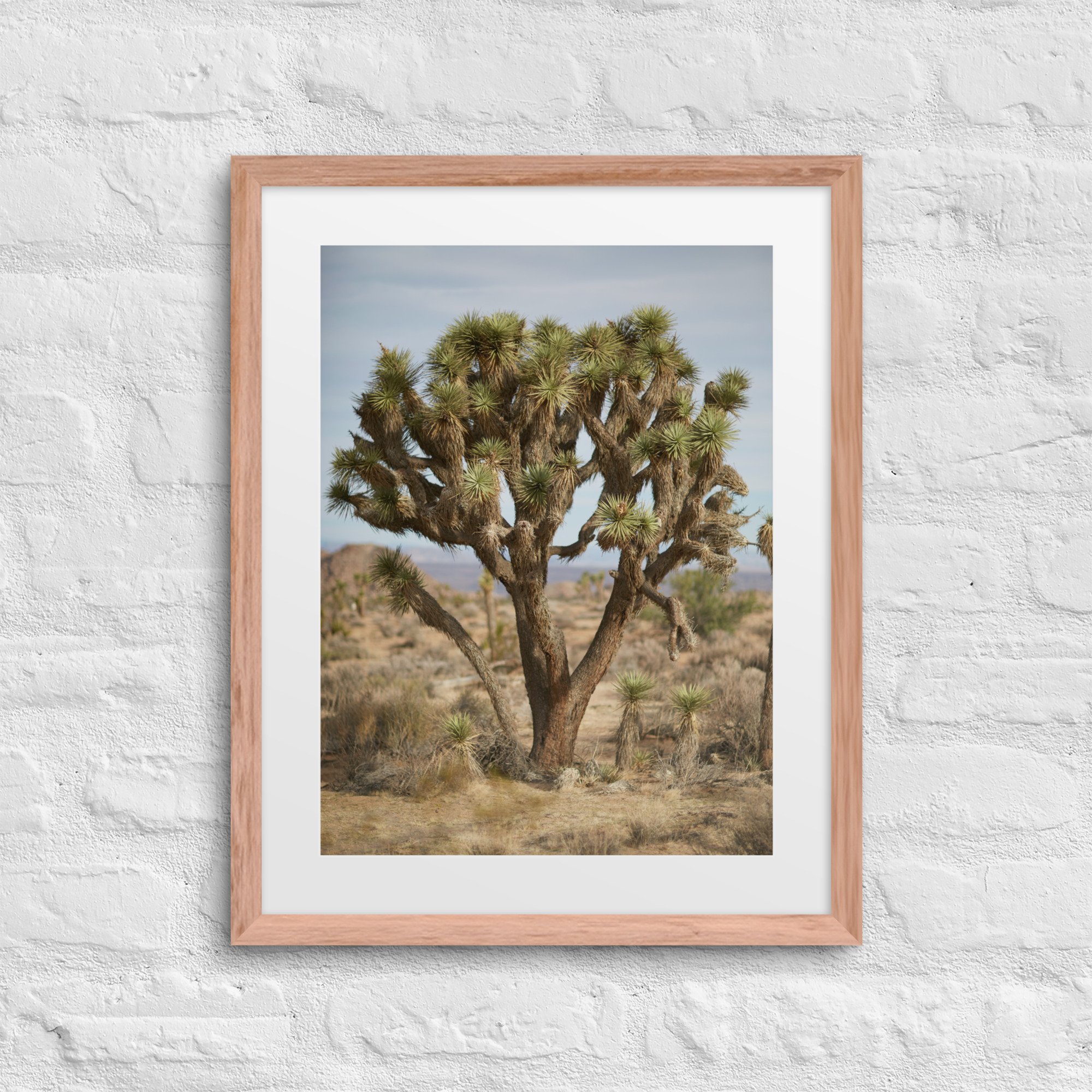 matte-paper-framed-poster-with-mat-(in)-red-oak-16x20-front-672a4a93ad1bb.jpg