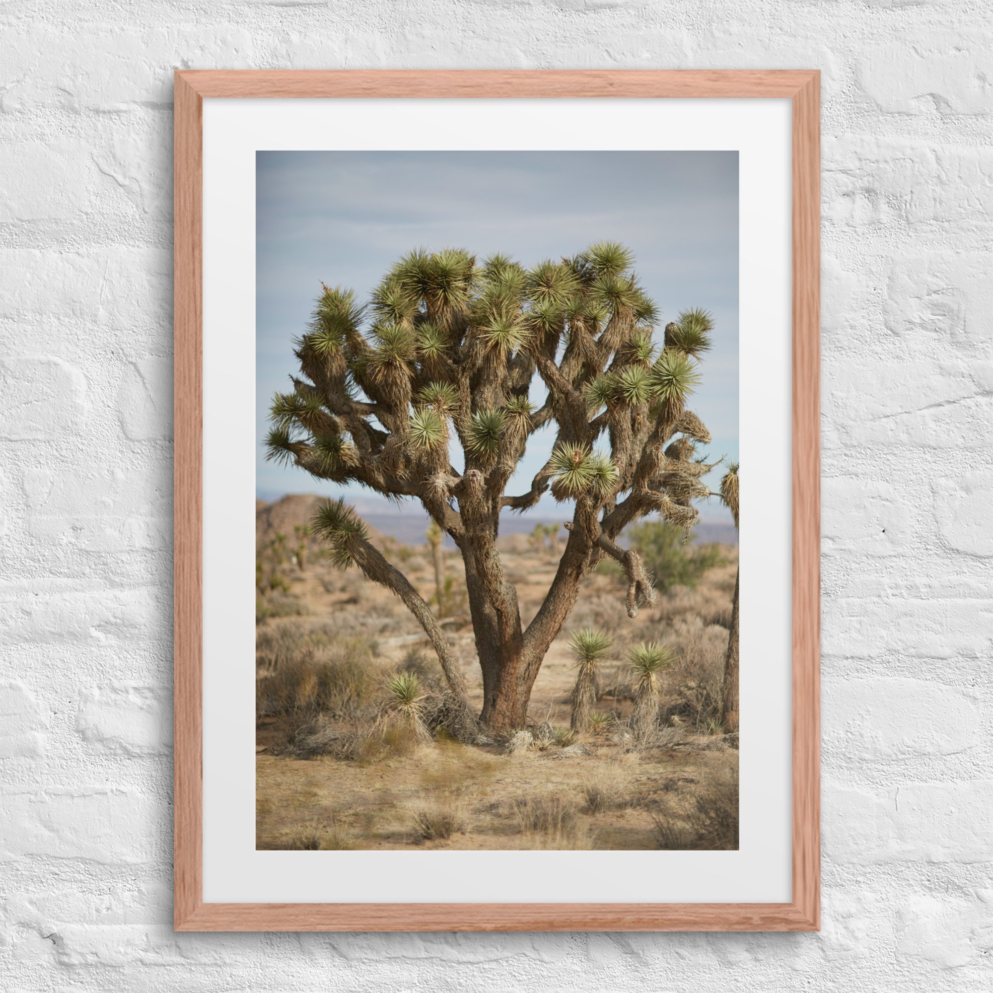matte-paper-framed-poster-with-mat-(in)-red-oak-18x24-front-672a4a93ad25e.jpg