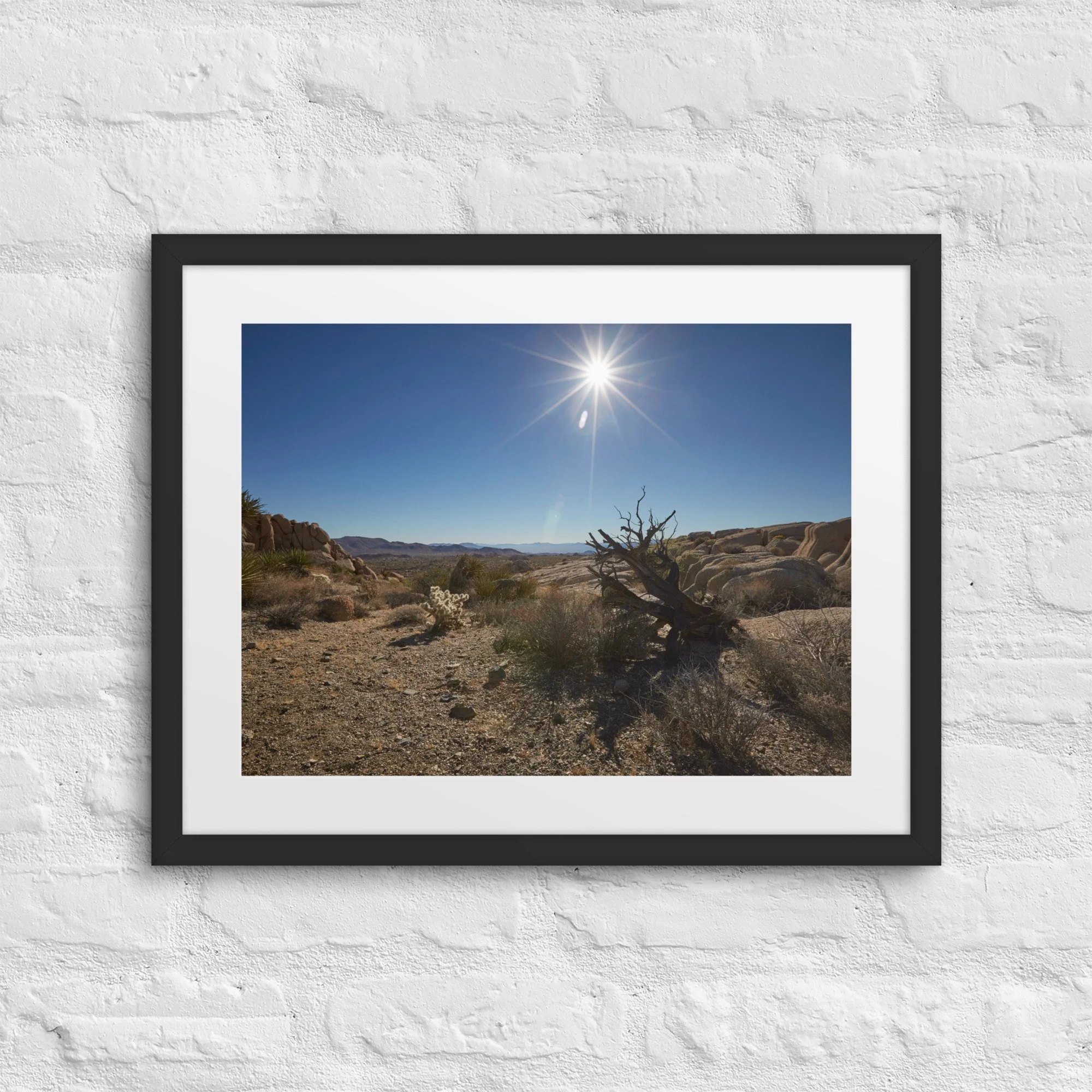 matte-paper-framed-poster-with-mat-(in)-black-16x20-front-672a4bd6c471b.jpg