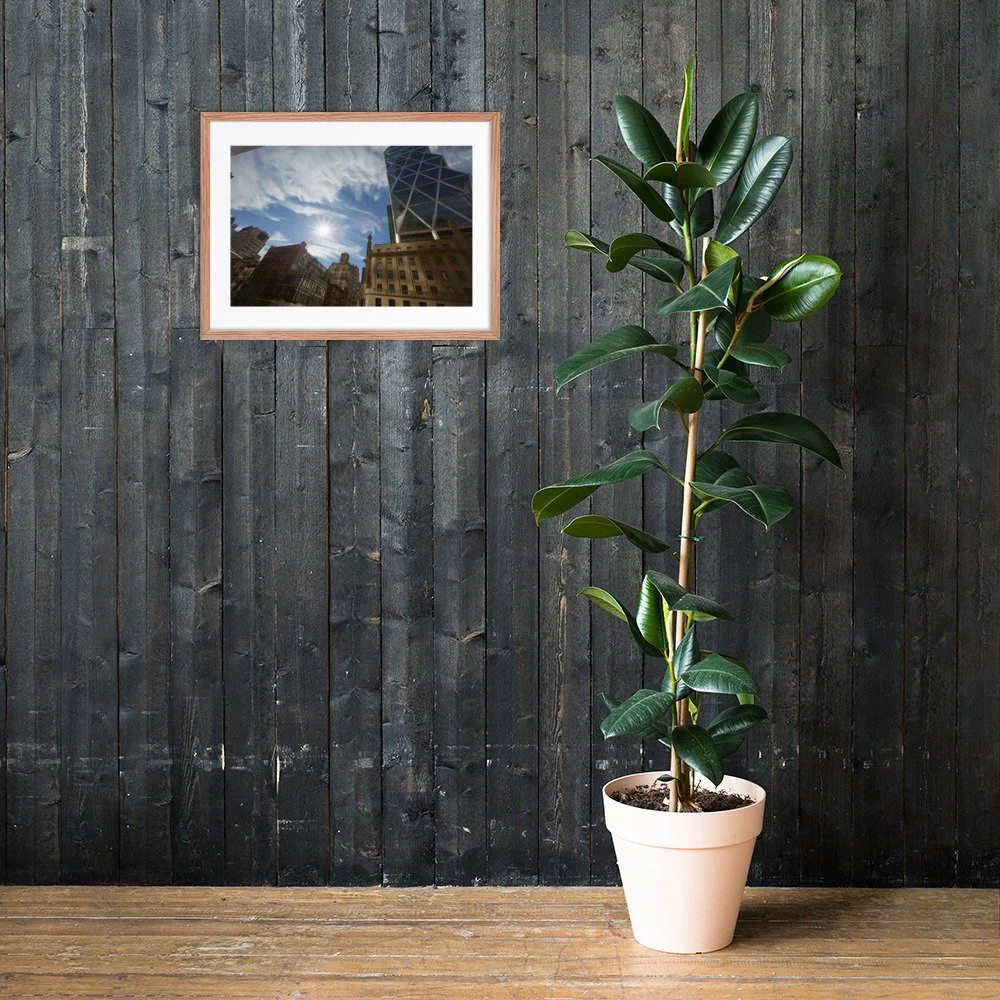 enhanced-matte-paper-framed-poster-(in)-red-oak-18x24-lifestyle-2-672a59eb2e5df.jpg