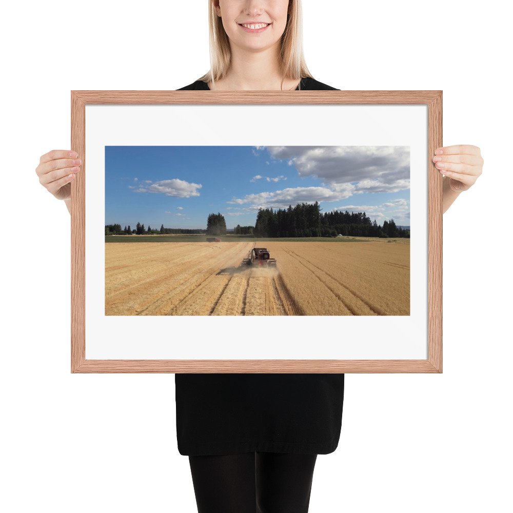 enhanced-matte-paper-framed-poster-(in)-red-oak-18x24-person-672a5c0221e52.jpg